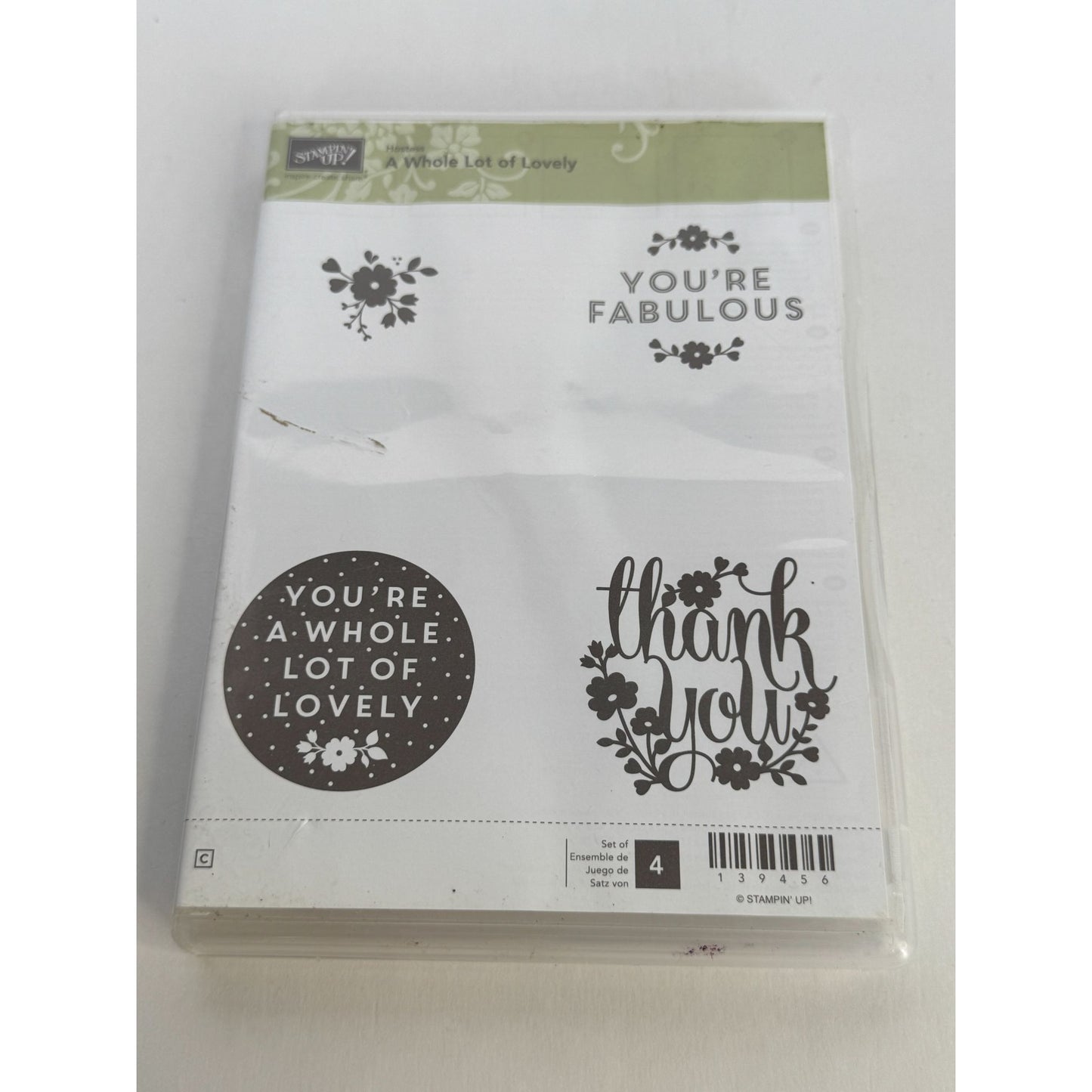 Stampin Up Clear Mount Rubber Stamp Set A Whole Lot of Lovely You are Fabulous