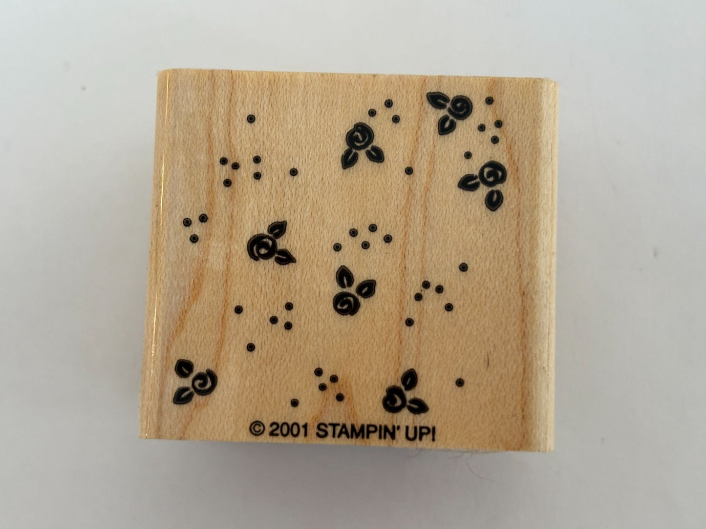Stampin Up Rubber Stamp Rose Background Floral Dotted Card Making Paper Crafting