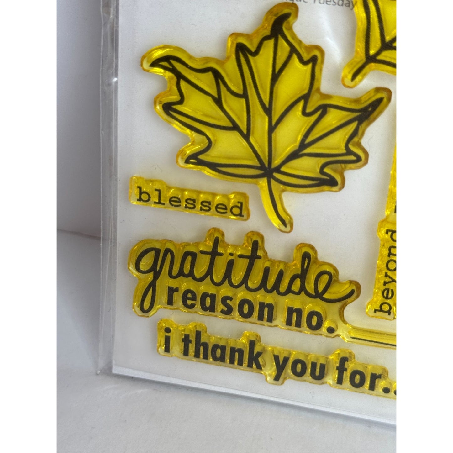 Technique Tuesday Clear Stamp Set I Give Thanks Gratitude Thanksgiving Blessed
