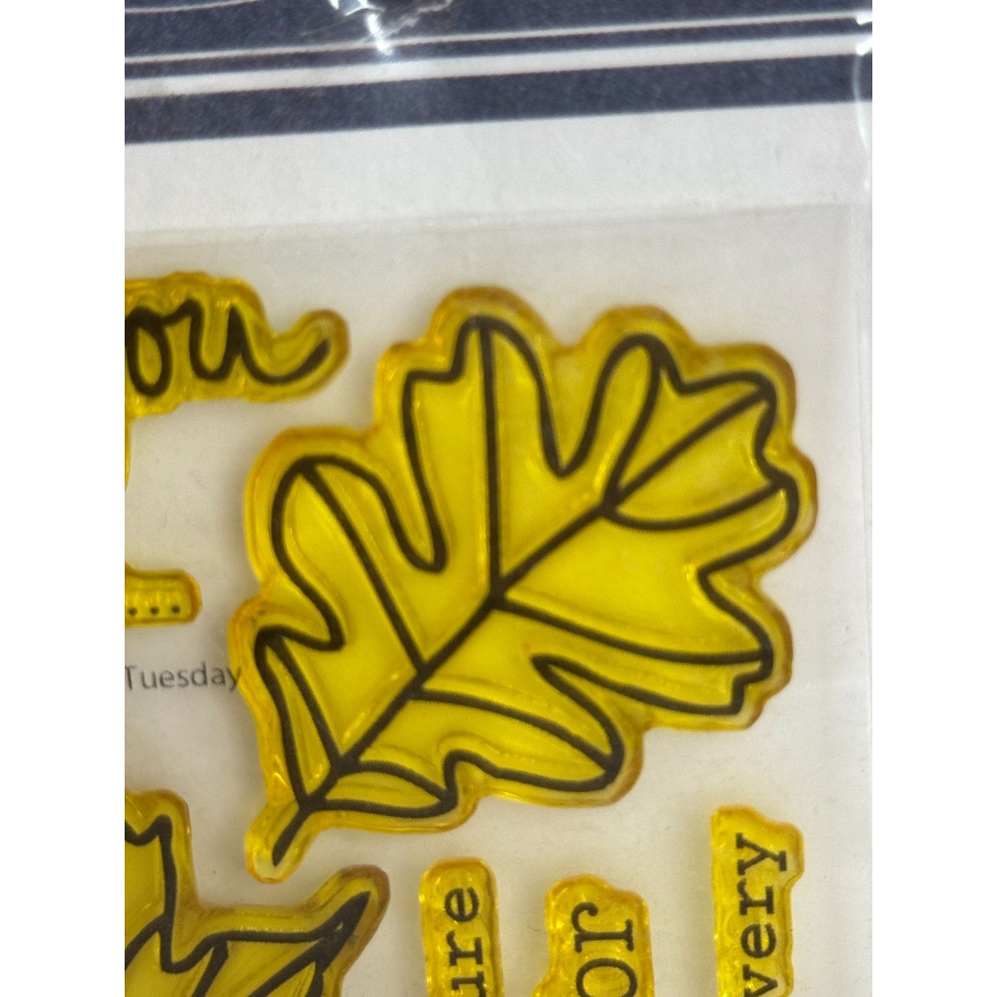 Technique Tuesday Clear Stamp Set I Give Thanks Gratitude Thanksgiving Blessed