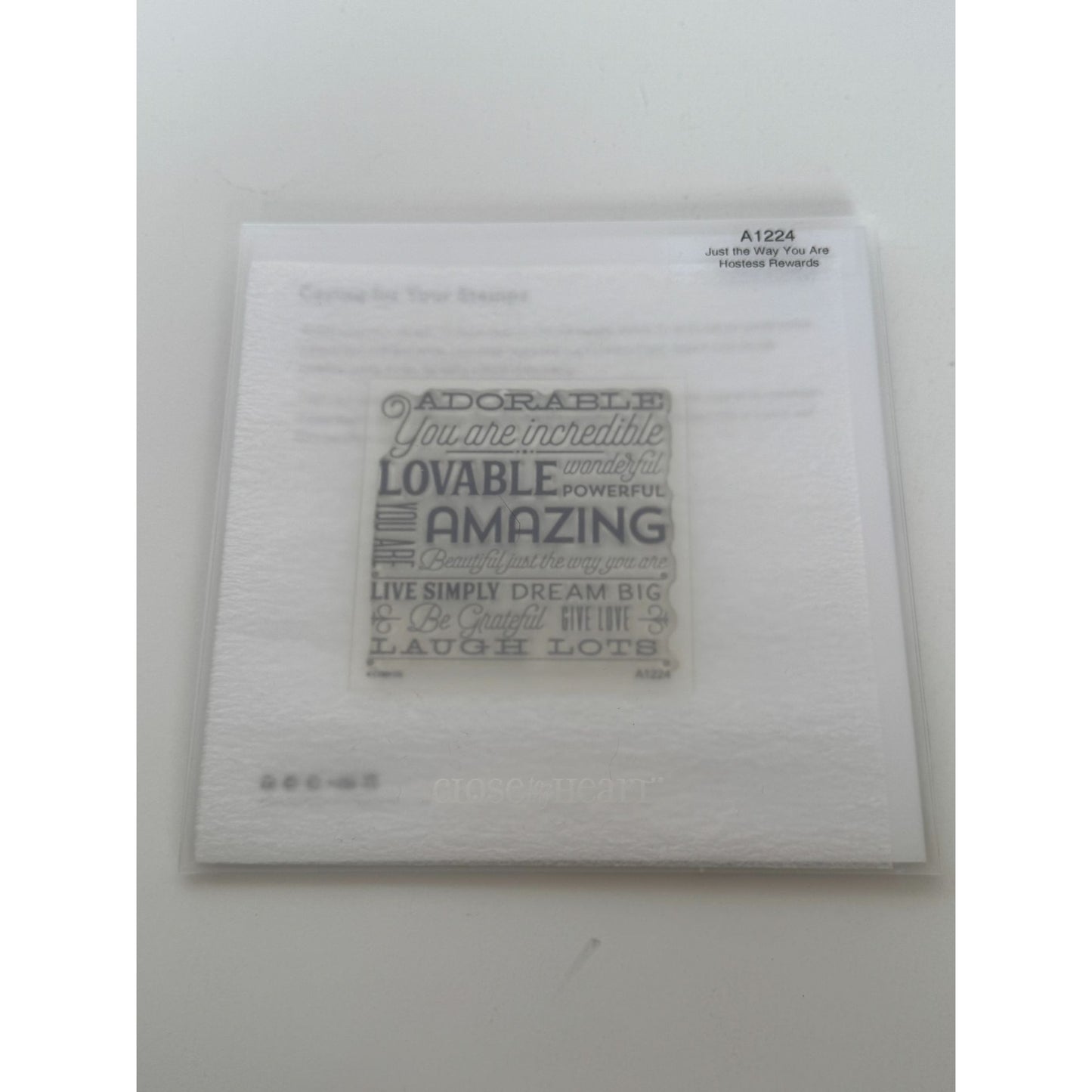 CTMH My Acrylix Acrylic Stamp A1224 Just The Way You Are Words Adorable Lovable