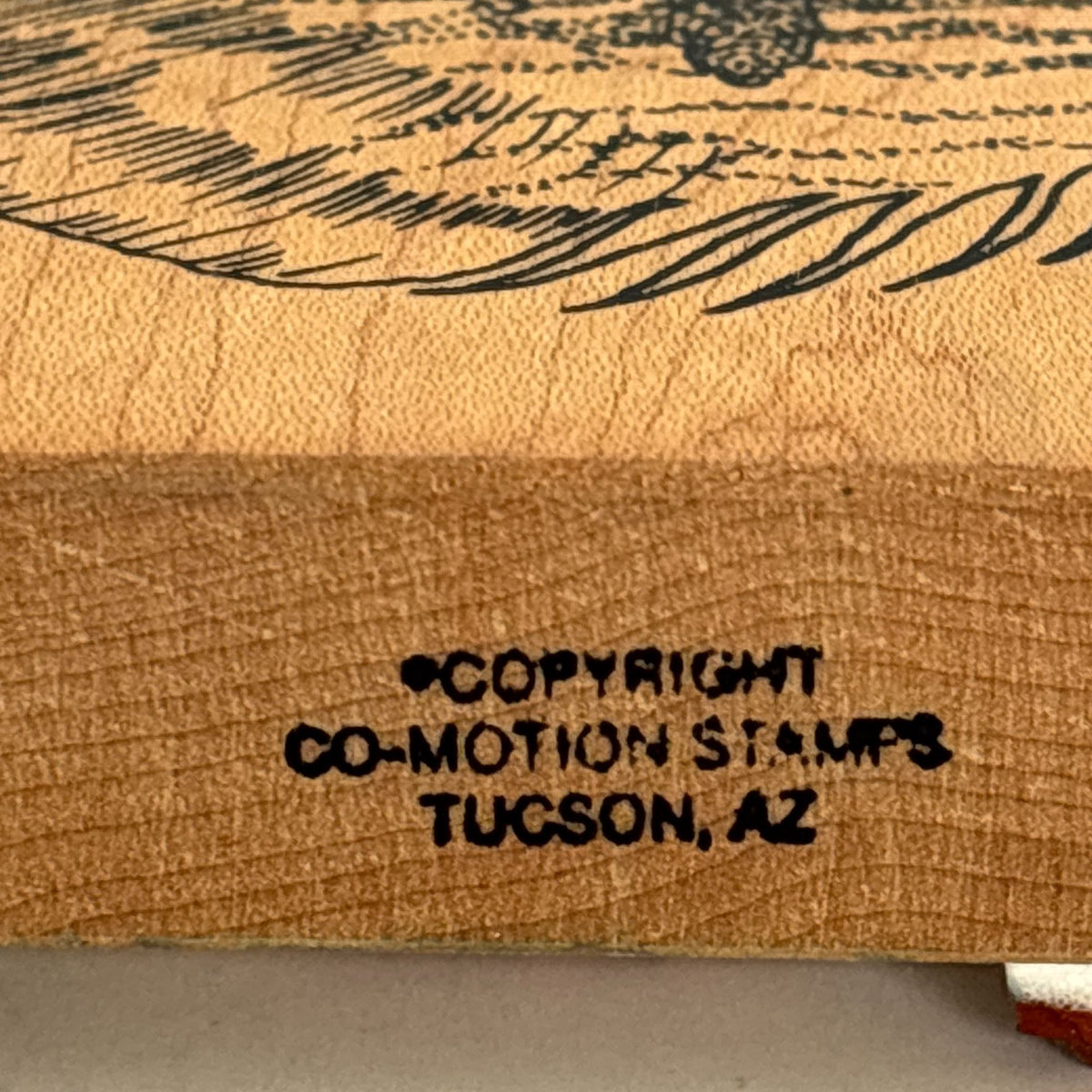 Co-Motion Rubber Stamp Tropical Fish Large Big Nautical Ocean Life Aquarium 2386