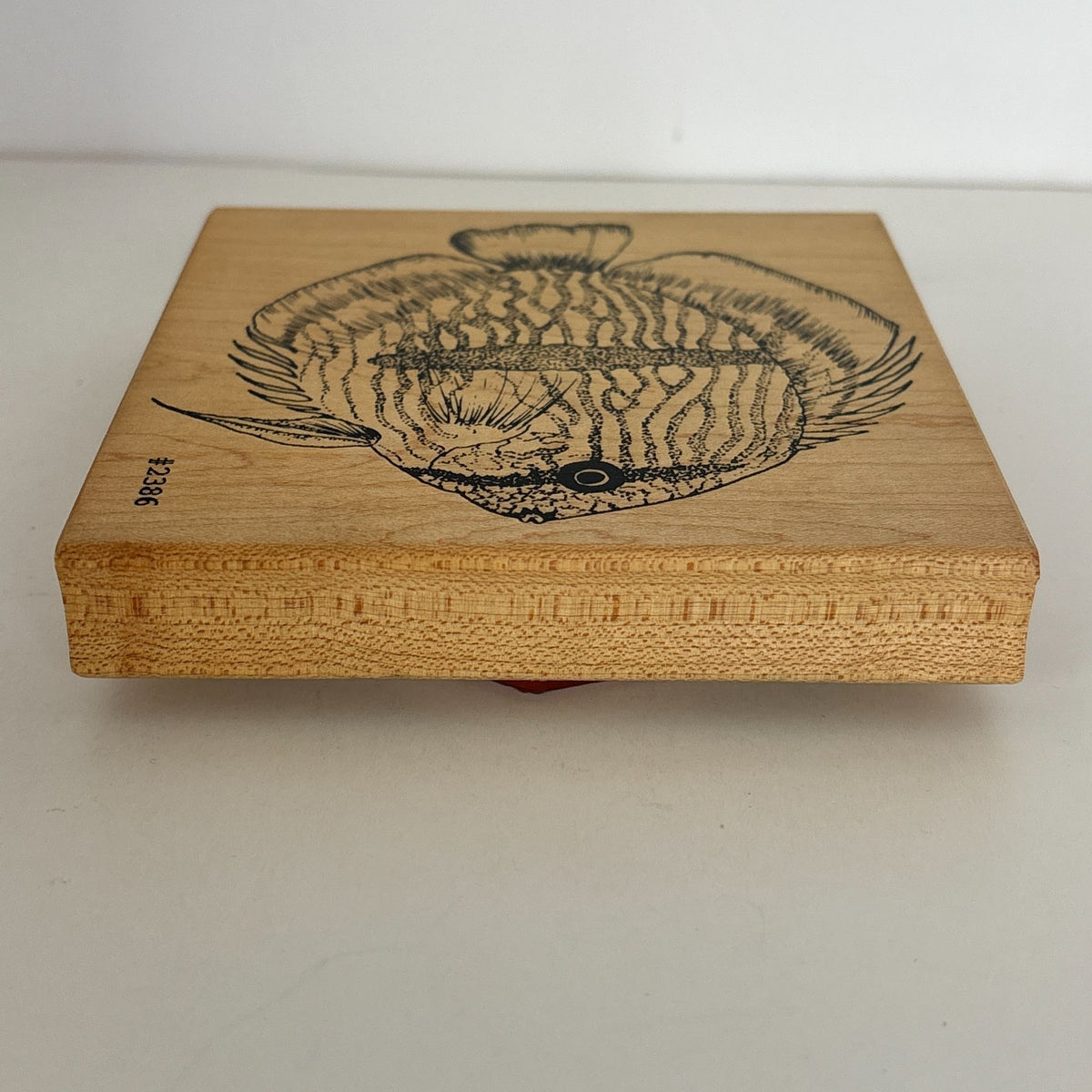 Co-Motion Rubber Stamp Tropical Fish Large Big Nautical Ocean Life Aquarium 2386