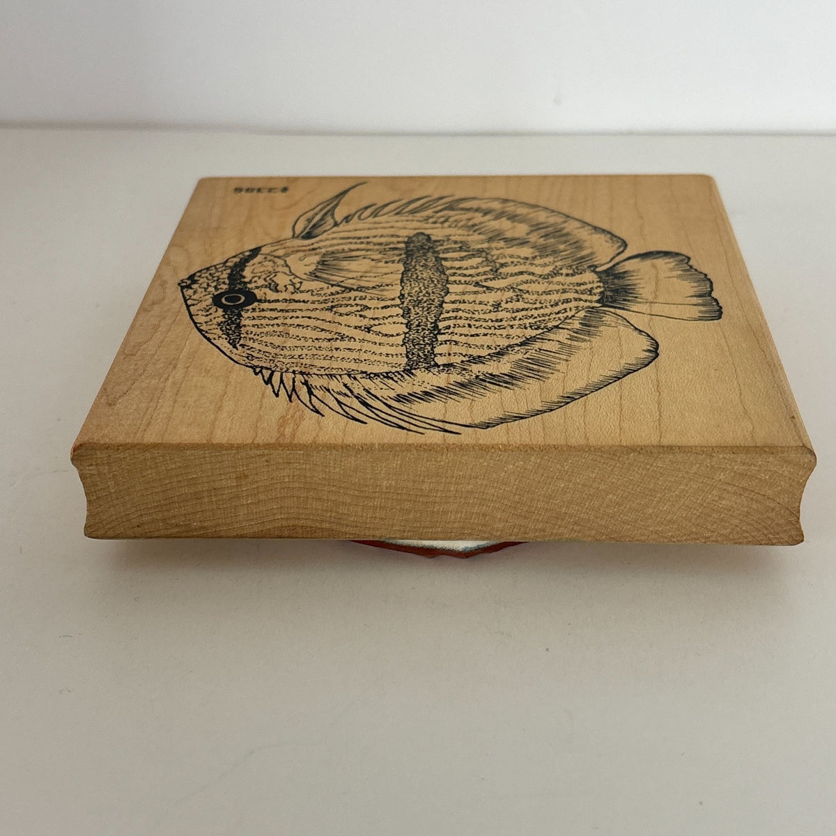 Co-Motion Rubber Stamp Tropical Fish Large Big Nautical Ocean Life Aquarium 2386