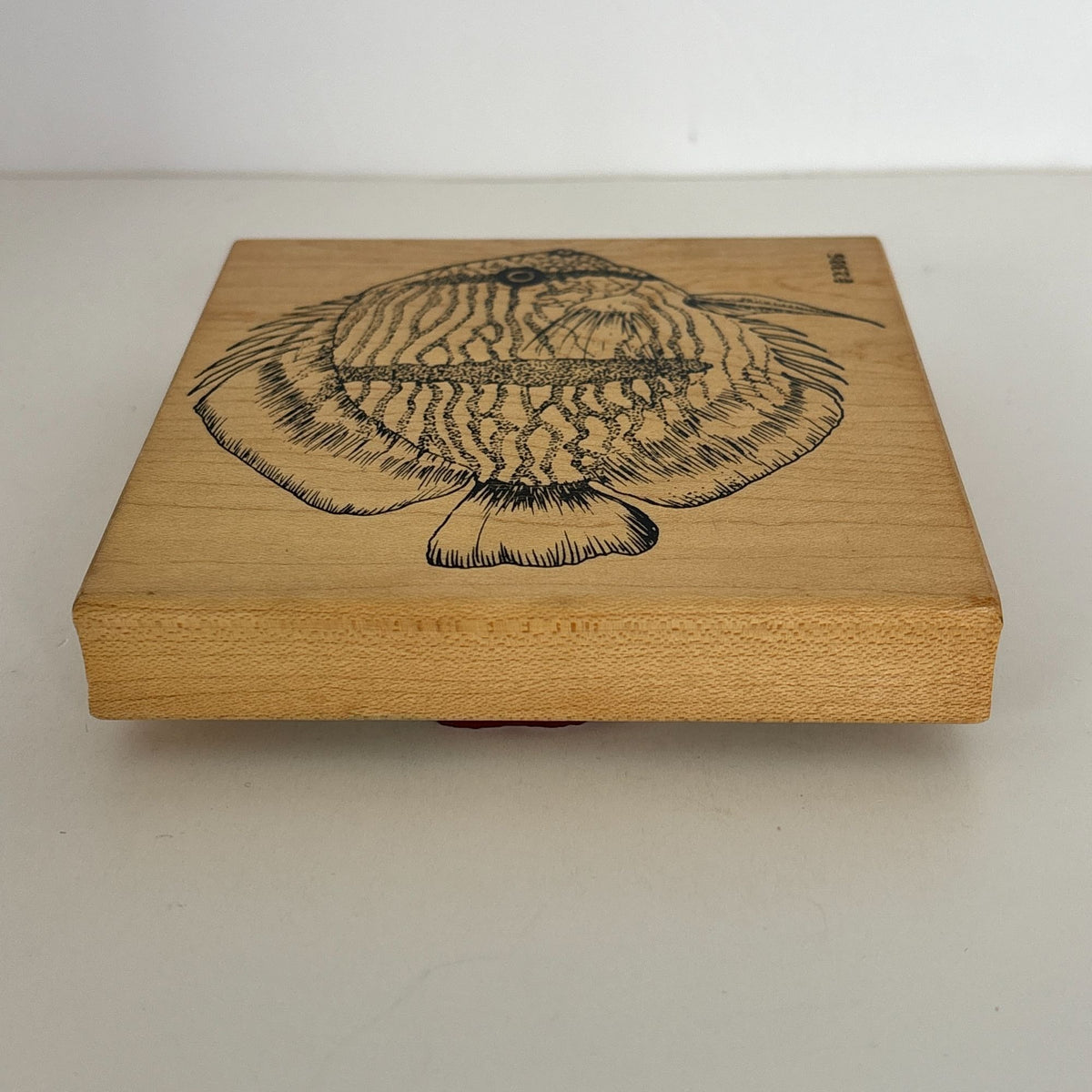 Co-Motion Rubber Stamp Tropical Fish Large Big Nautical Ocean Life Aquarium 2386