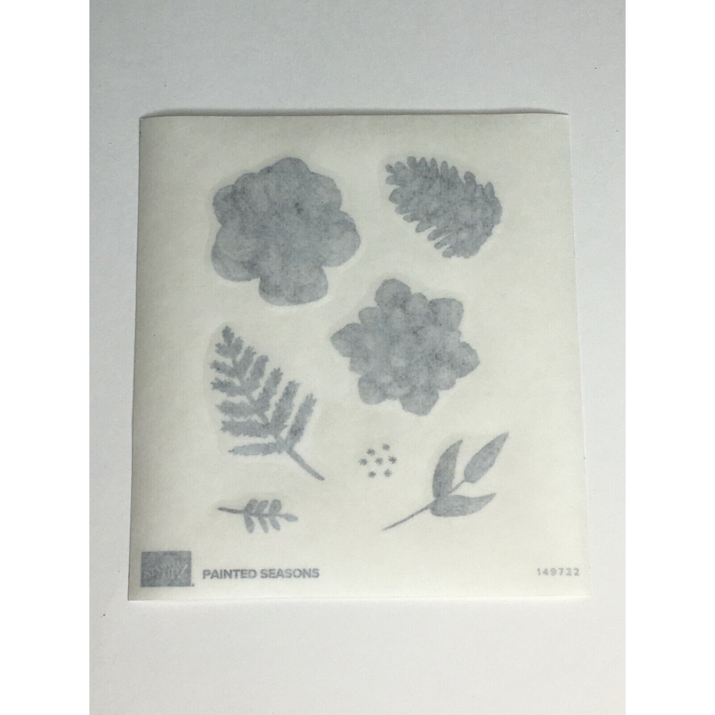 Stampin Up Painted Seasons Stamp Set Framelits Dies Pinecone Nature Leaf Flower