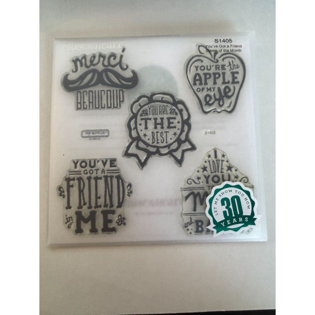 CTMH Acrylic Stamp Set You've Got a Friend in Me Merci Beaucoup Words My Acrylix