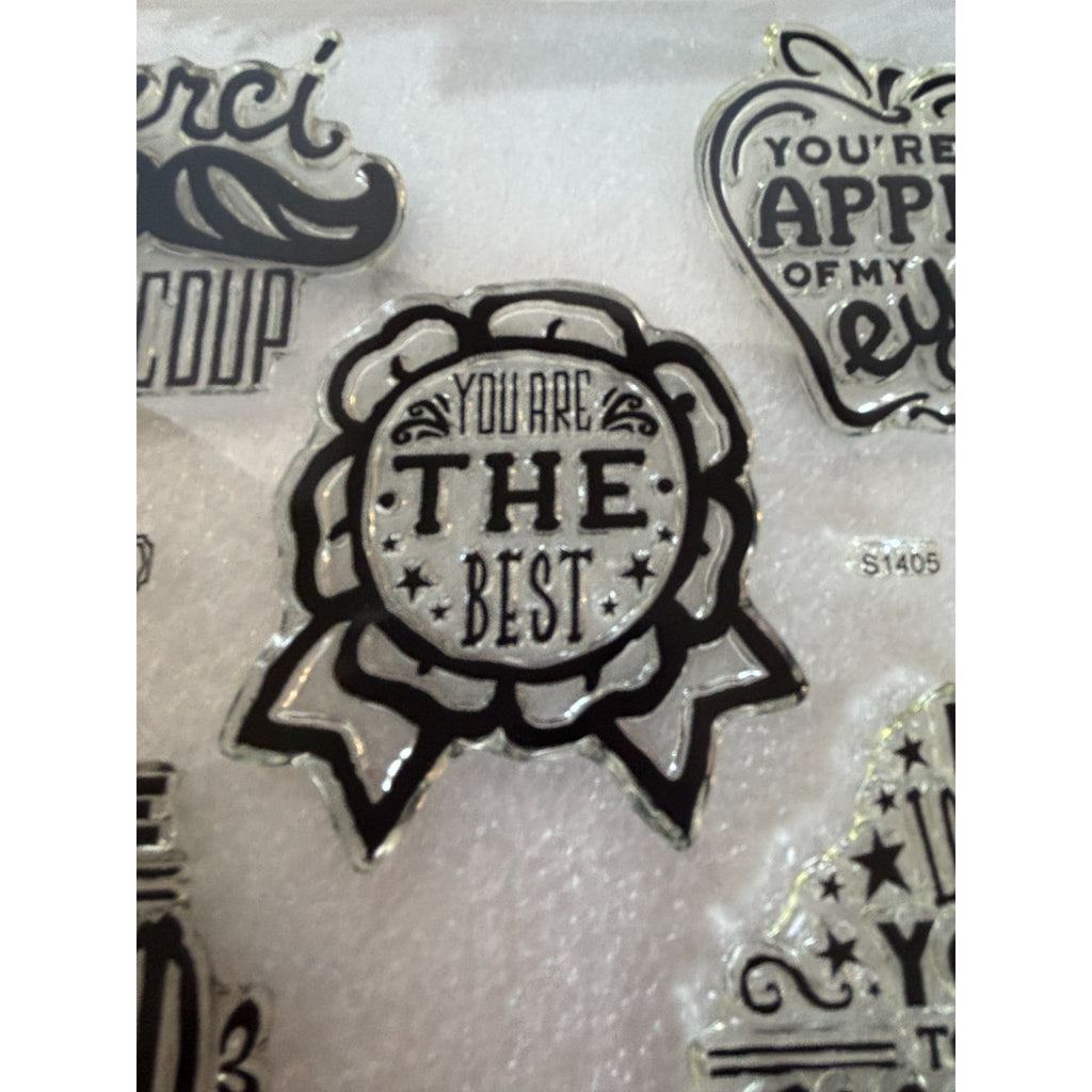 CTMH Acrylic Stamp Set You've Got a Friend in Me Merci Beaucoup Words My Acrylix