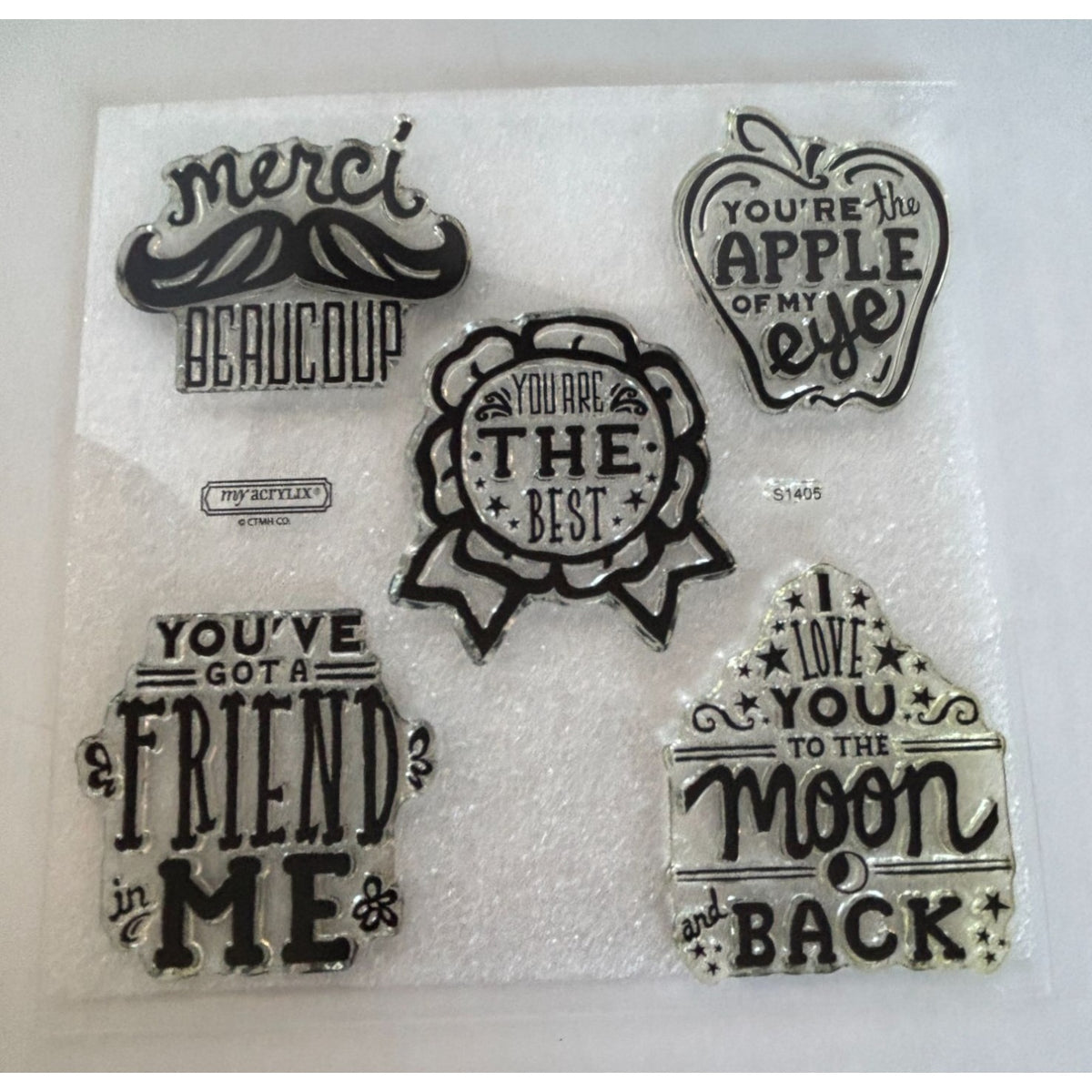 CTMH Acrylic Stamp Set You've Got a Friend in Me Merci Beaucoup Words My Acrylix