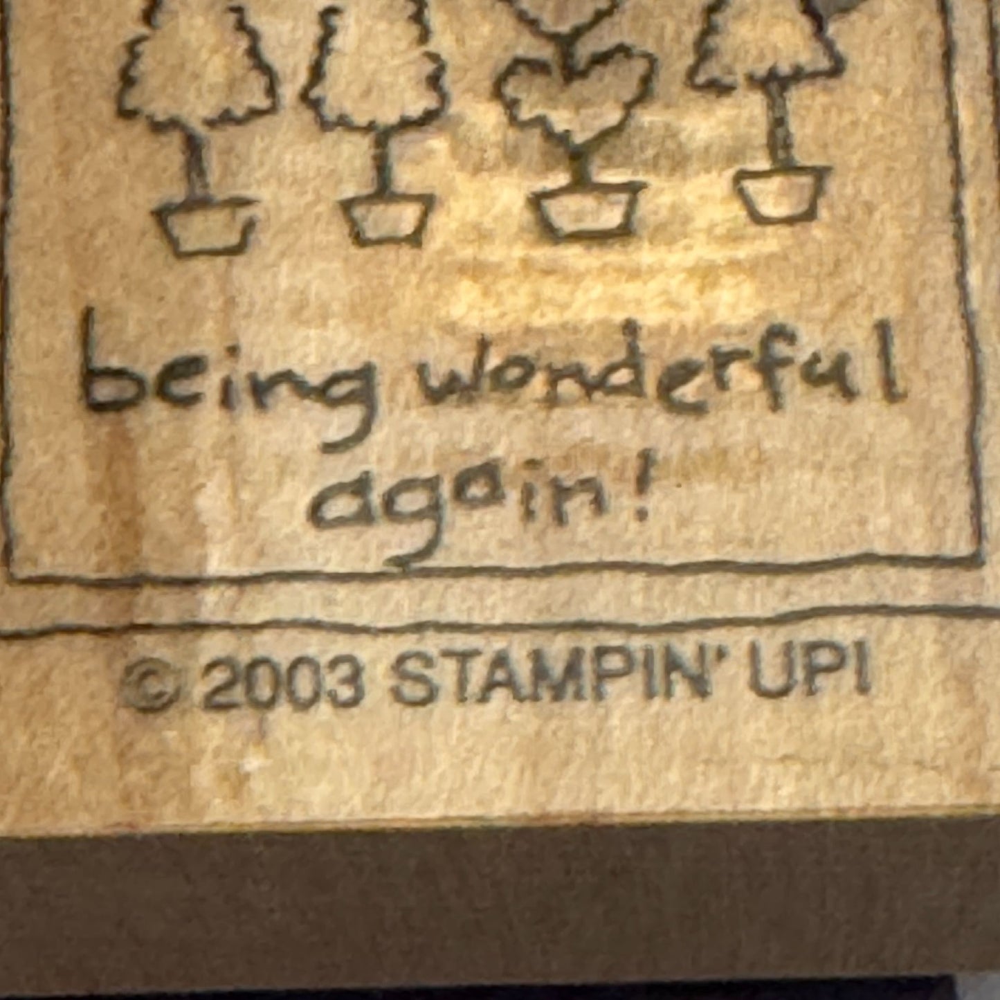 Stampin Up Rubber Stamp There You Go Being Wonderful Again Topiary Card Making