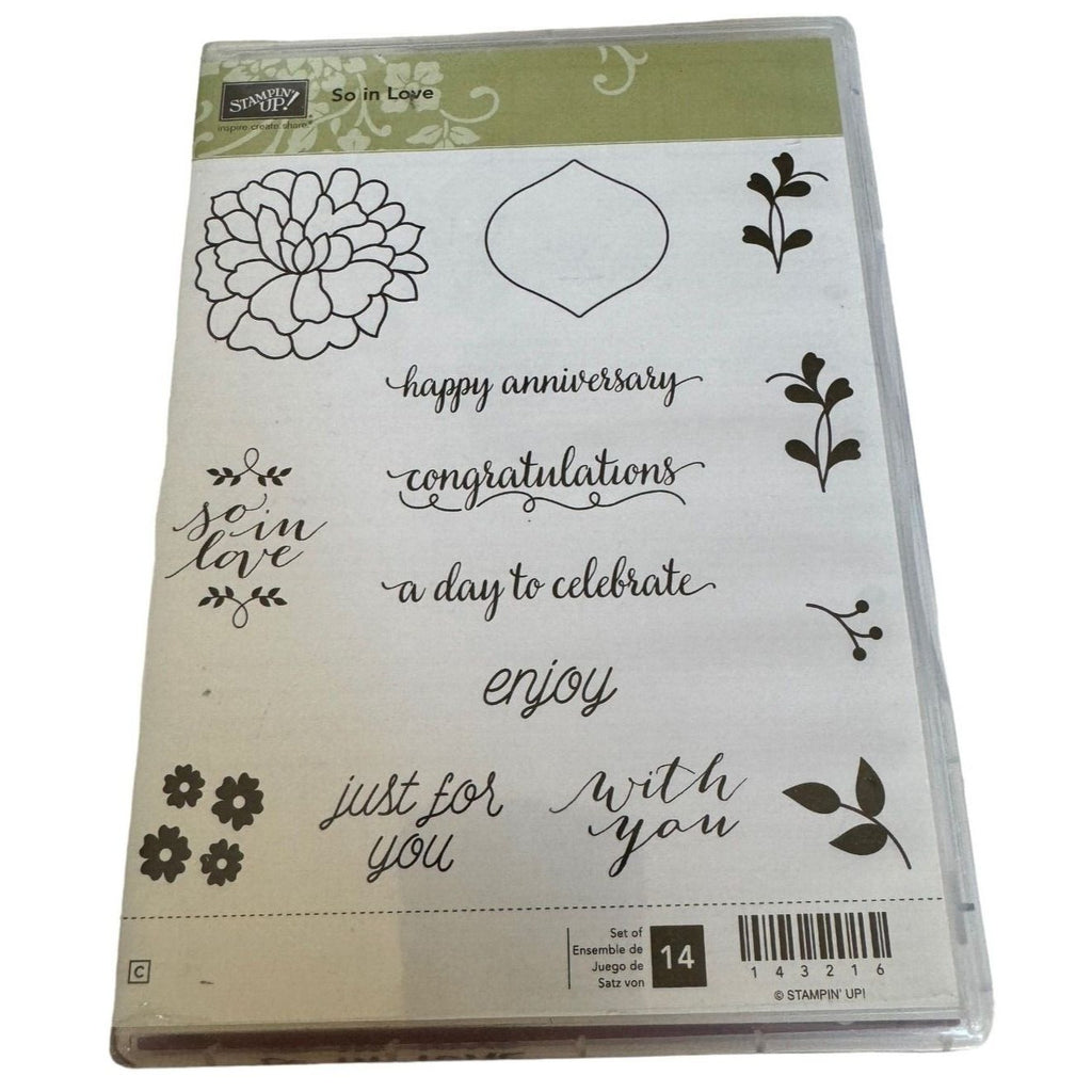 Stampin Up Cling Rubber Stamps So In Love So Detailed Thinlits Dies With