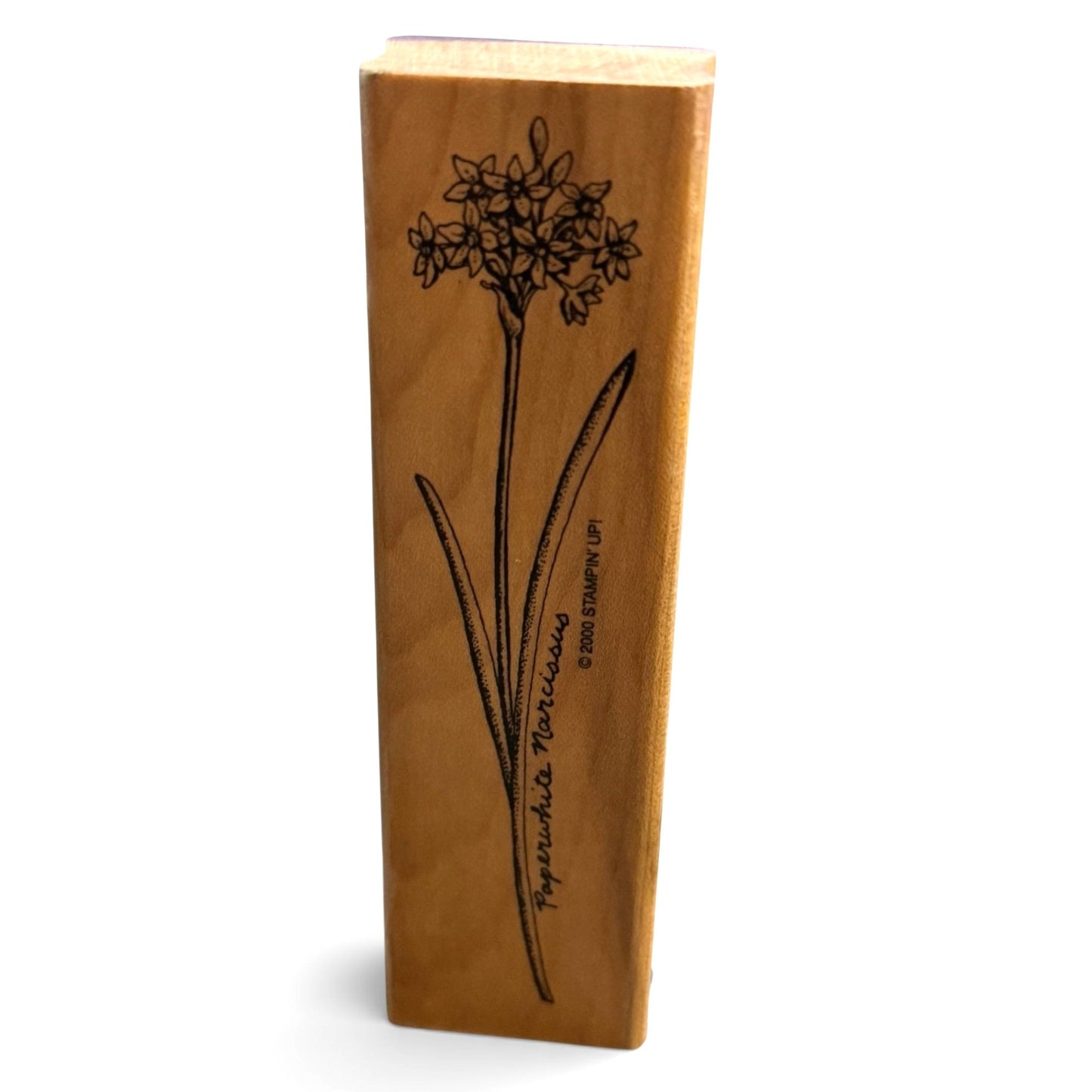Stampin Up Rubber Stamp Paperwhite Narcissus Flower Paper Craft Cardmaking