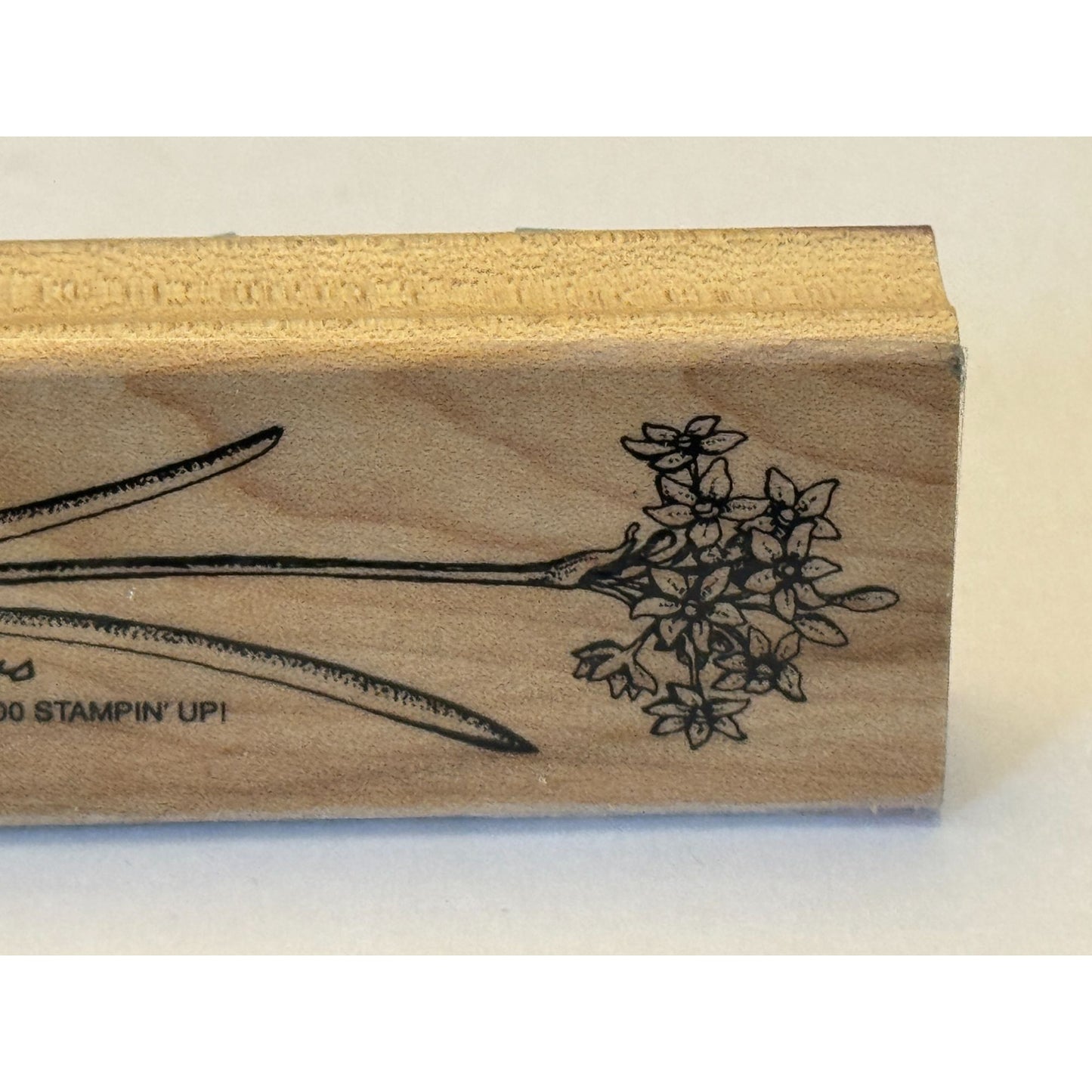 Stampin Up Rubber Stamp Paperwhite Narcissus Flower Paper Craft Cardmaking