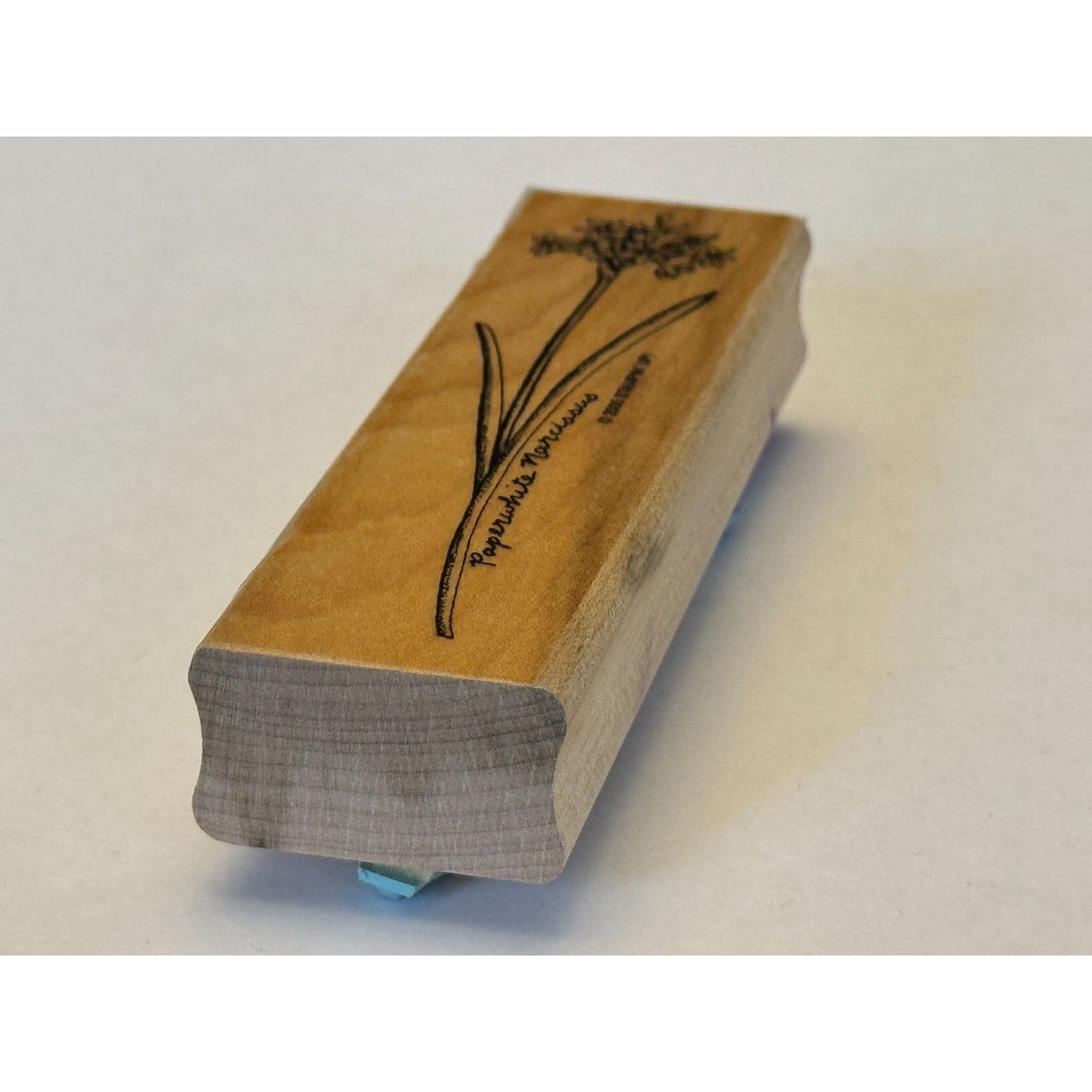Stampin Up Rubber Stamp Paperwhite Narcissus Flower Paper Craft Cardmaking