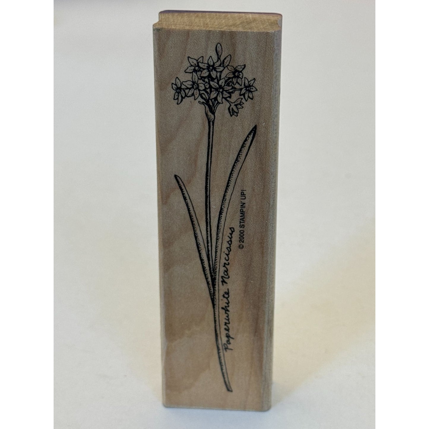 Stampin Up Rubber Stamp Paperwhite Narcissus Flower Paper Craft Cardmaking