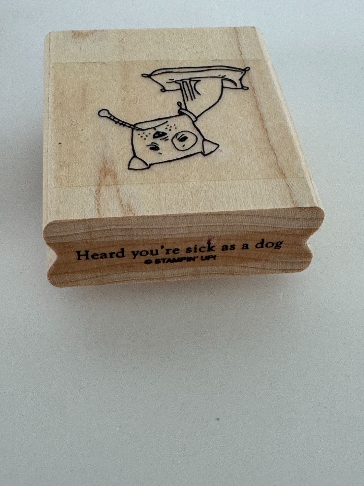 Stampin Up Rubber Stamps Wellness Wishes Get Well Soon Sick as Dog Funny Words