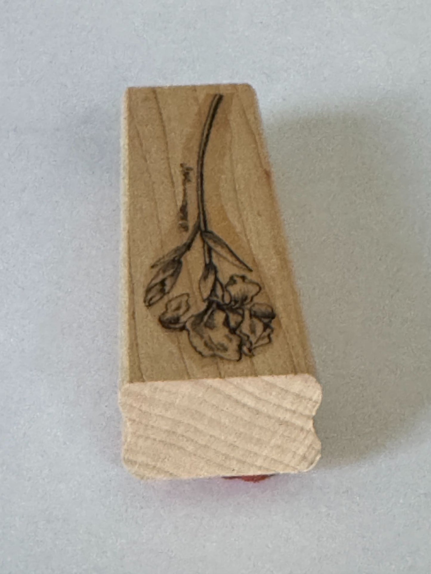 Stampin Up Rubber Stamp Iris Flower Floral Design Crafting Card Making Spring