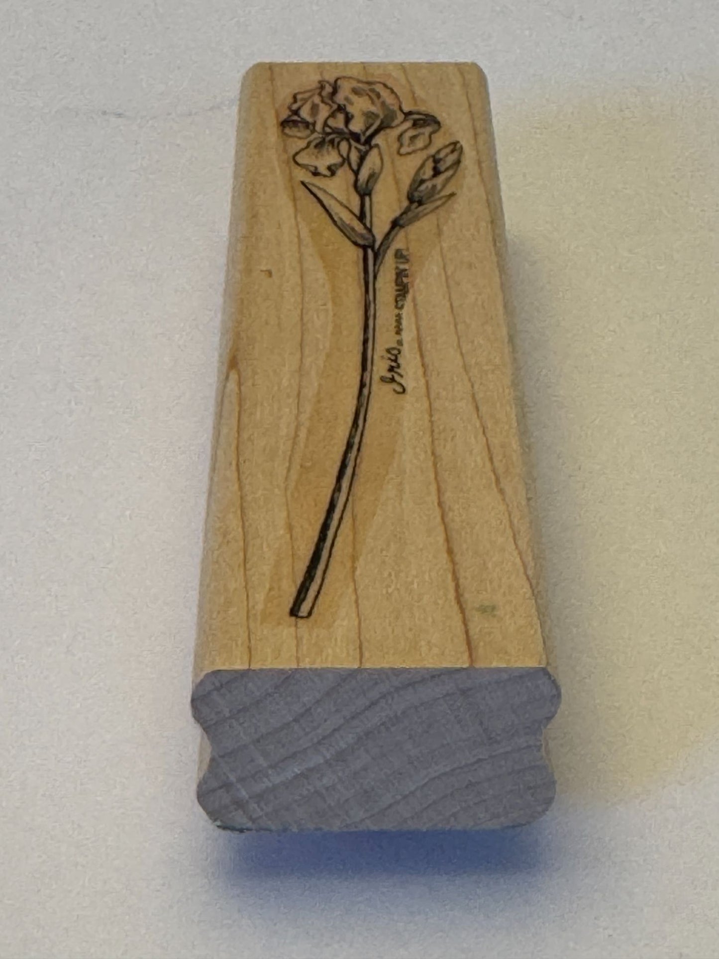 Stampin Up Rubber Stamp Iris Flower Floral Design Crafting Card Making Spring