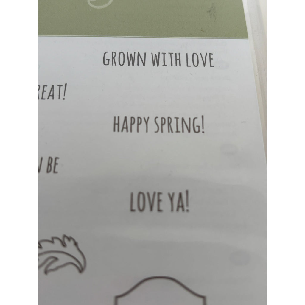 Stampin Up From The Garden Photopolymer Stamps Set Plant Markers Best Buds Pun