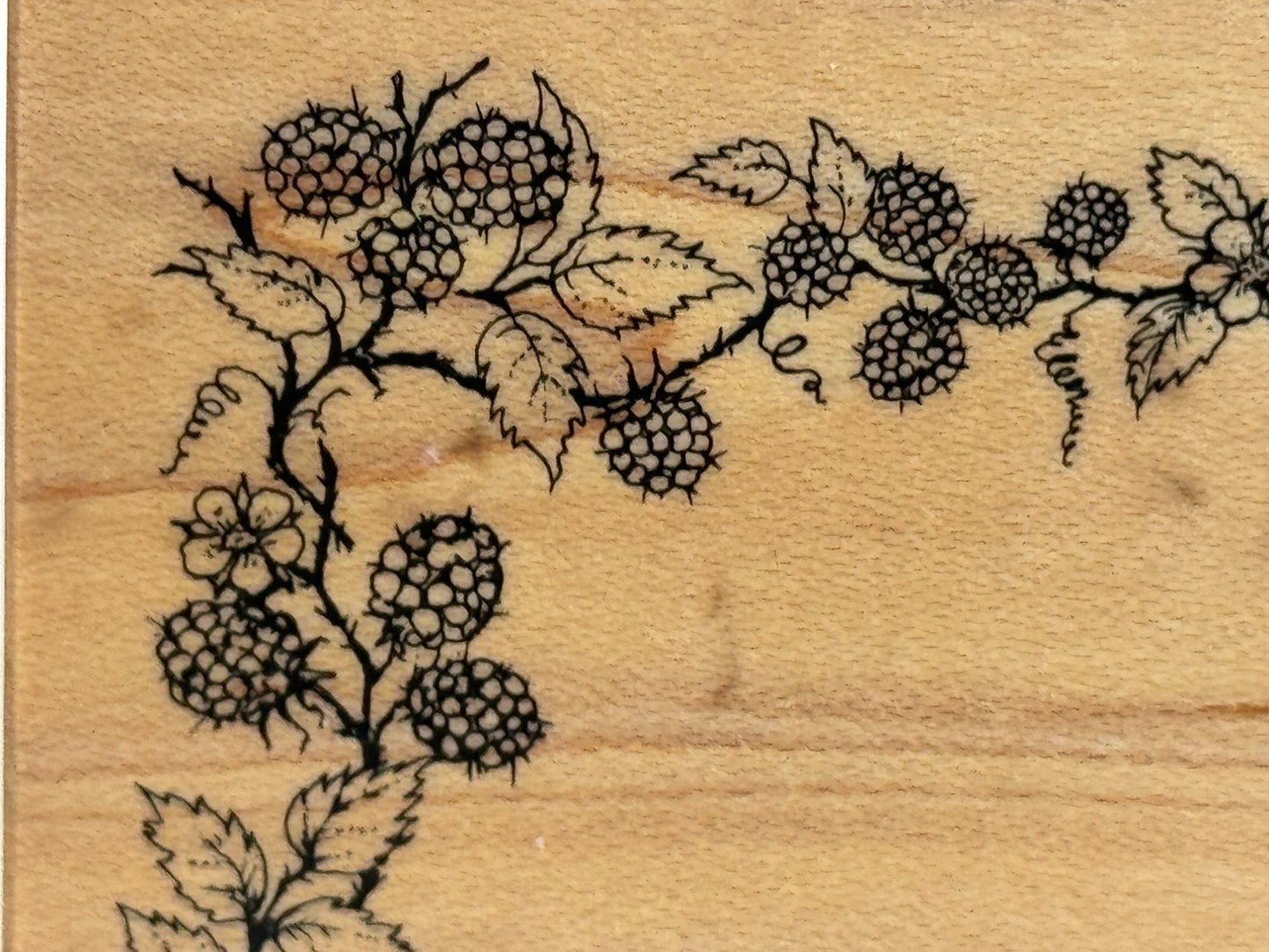 PSX Rubber Stamp Strawberry Blackberry Frame Fruit Vines Recipe Food Berry Craft