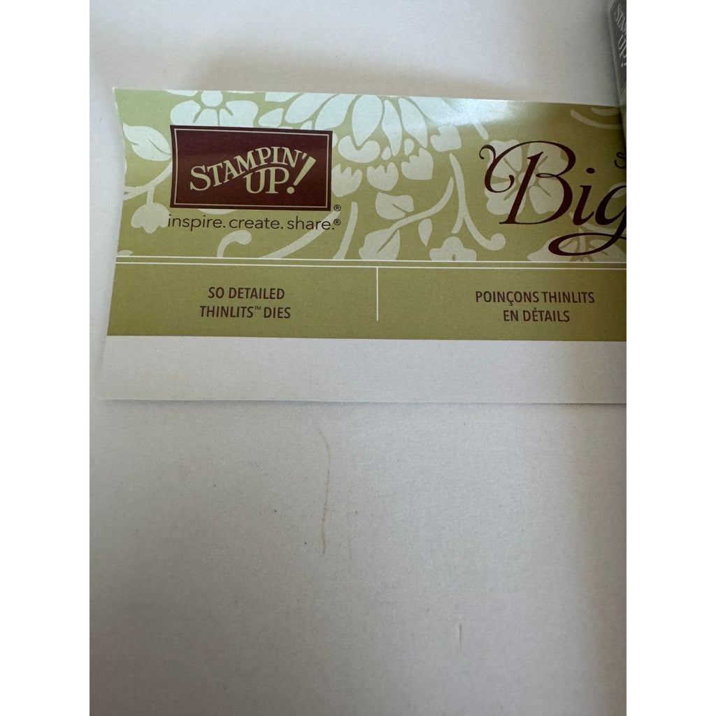 Stampin Up Cling Rubber Stamps So In Love So Detailed Thinlits Dies With