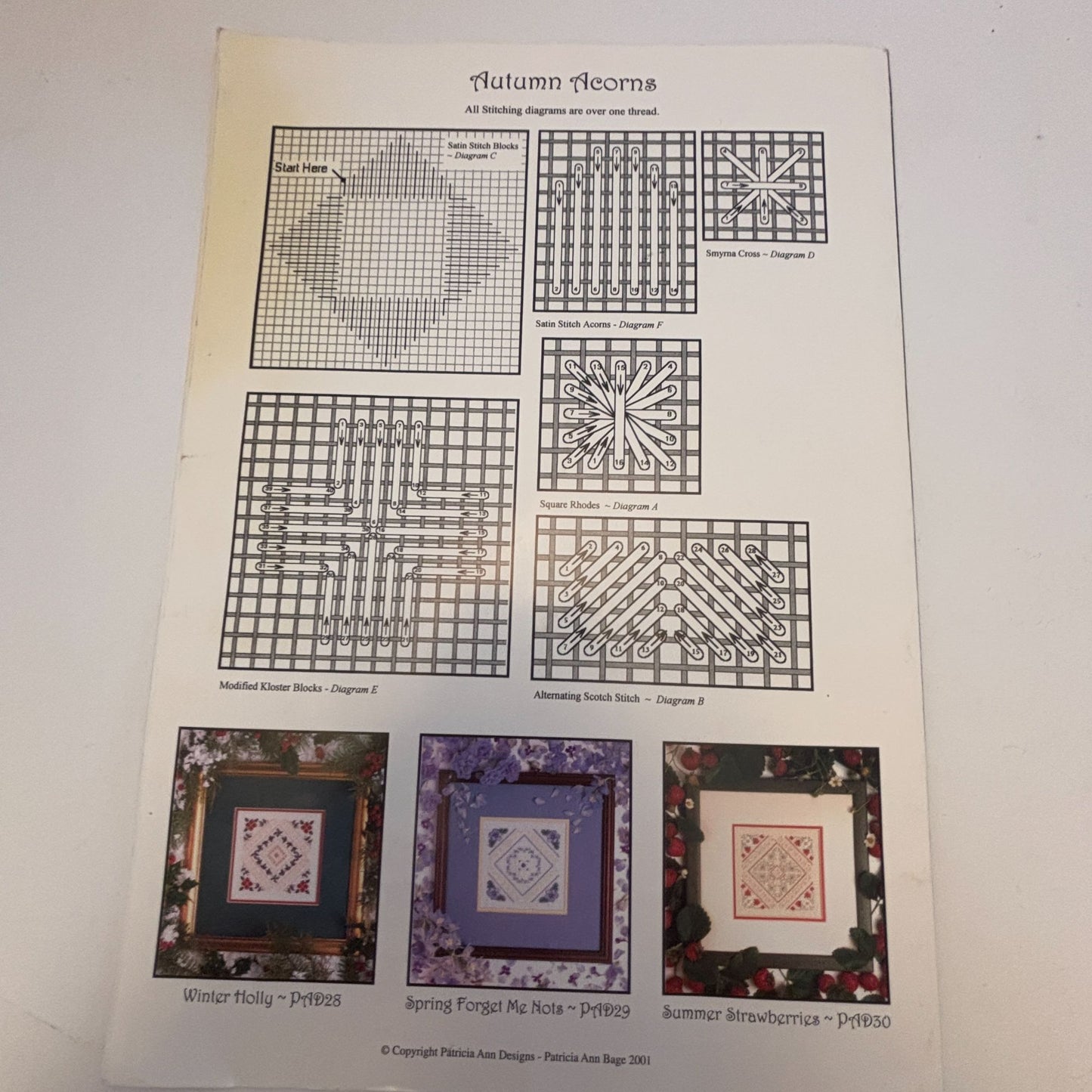 Autumn Acorns Needlepoint Pattern by Patricia Ann Designs Fall Leaflet PAD27