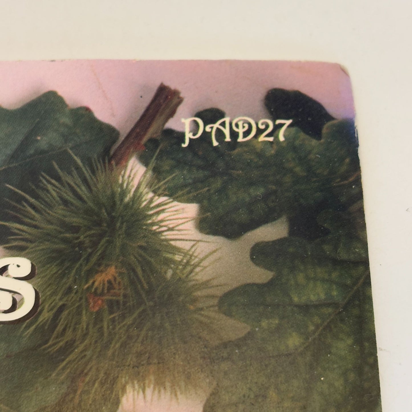 Autumn Acorns Needlepoint Pattern by Patricia Ann Designs Fall Leaflet PAD27