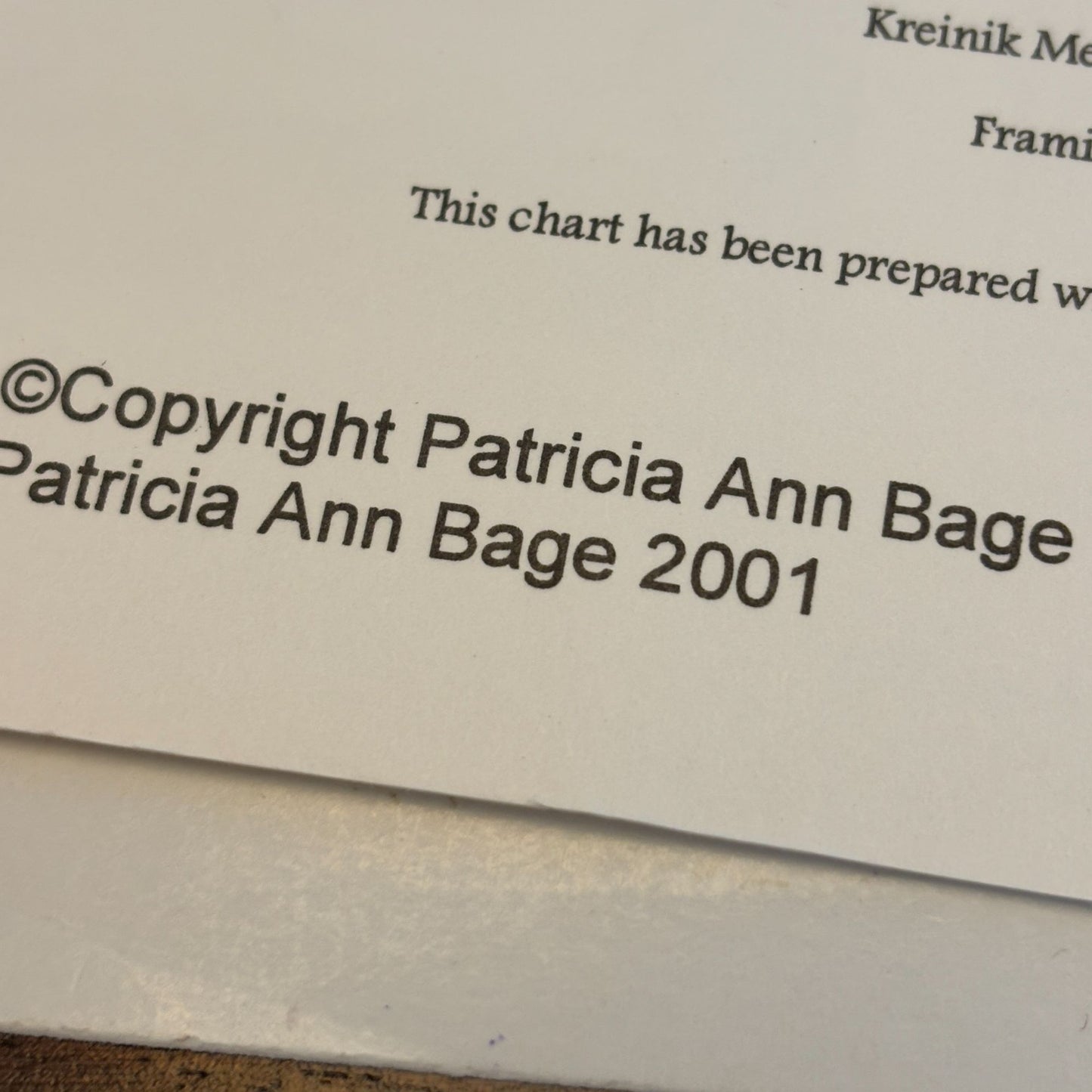 Autumn Acorns Needlepoint Pattern by Patricia Ann Designs Fall Leaflet PAD27