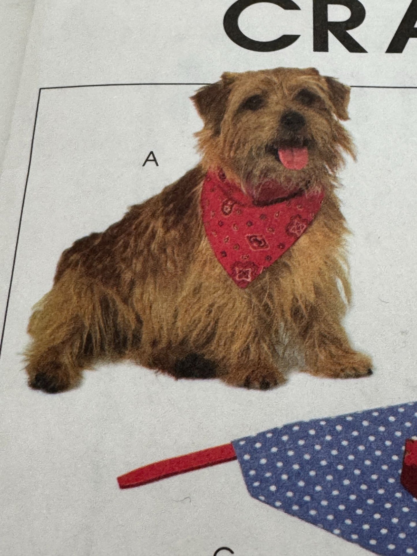 McCalls Sewing Pattern M5016 Crafts Pet Bed Neckerchief Placemat Bone Pillow UC