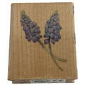 All Night Media Rubber Stamp Grape Hyacinth Garden Brenda Walton Card Making