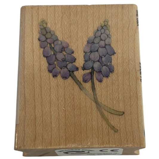 All Night Media Rubber Stamp Grape Hyacinth Garden Brenda Walton Card Making