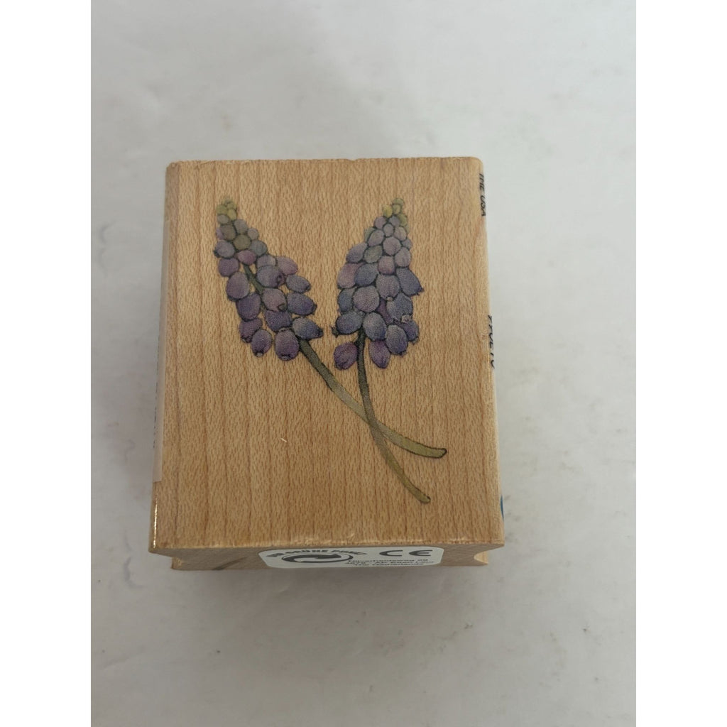All Night Media Rubber Stamp Grape Hyacinth Garden Brenda Walton Card Making