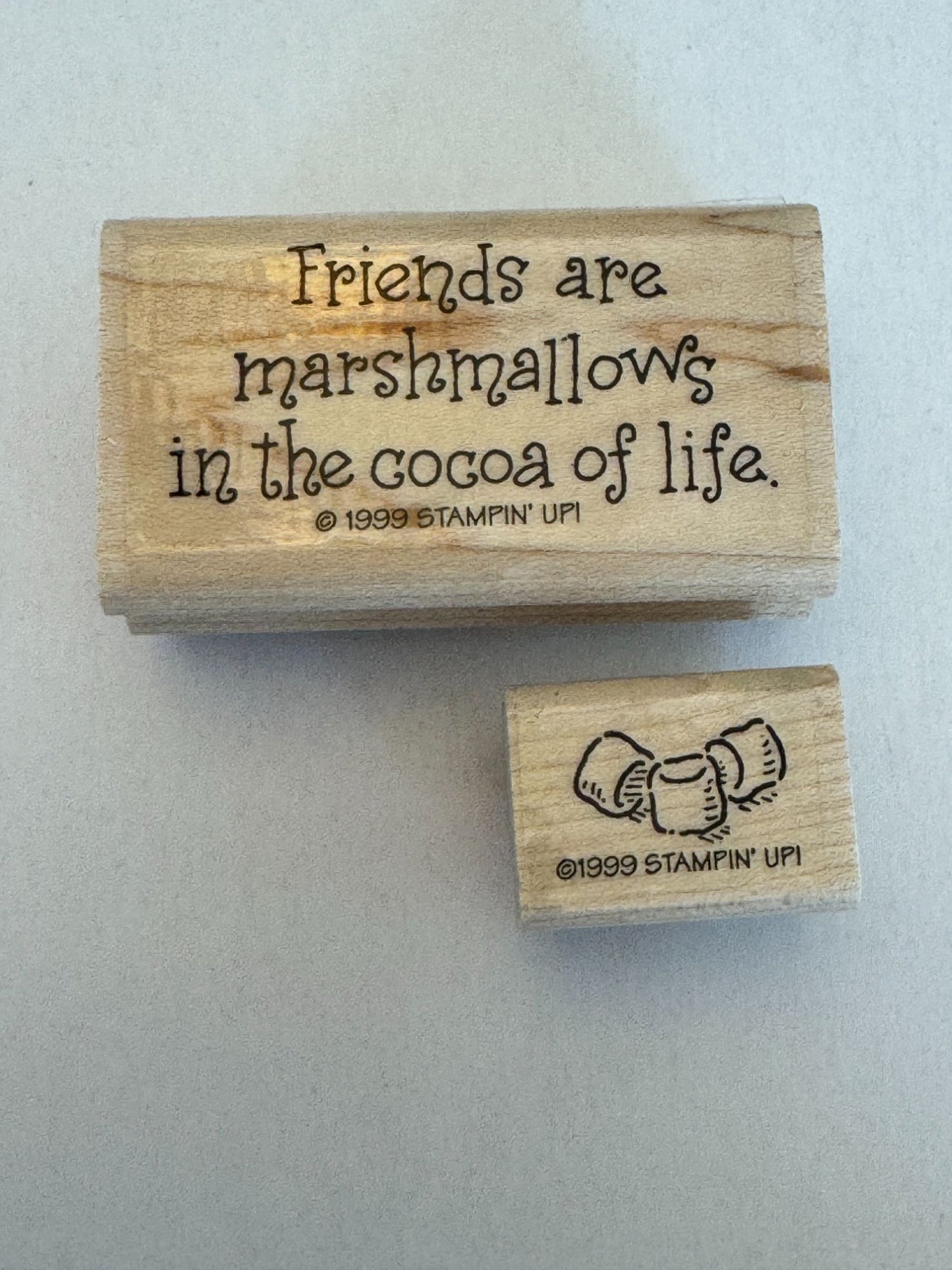 Stampin Up Rubber Stamp Set Winter Wilma Dog Cat Coffee Cocoa Snow Marshmallow
