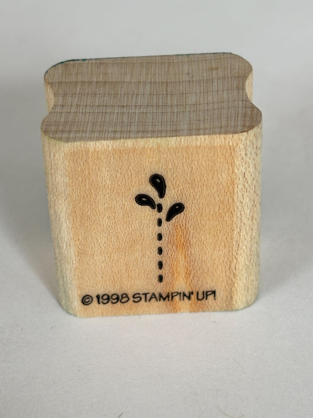 Stampin Up Rubber Stamp Sprout Dotted Vertical Stem Teardrop Shaped Petals Craft