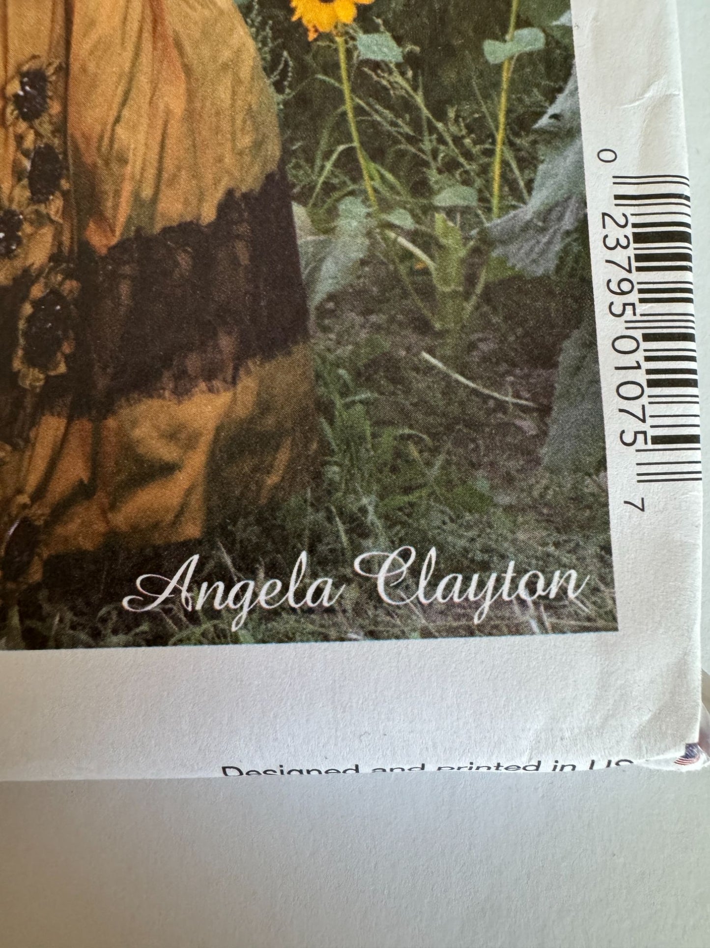 McCalls Costume Sewing Pattern M8017 Historical Dress Gown 14-22 Angela Clayton