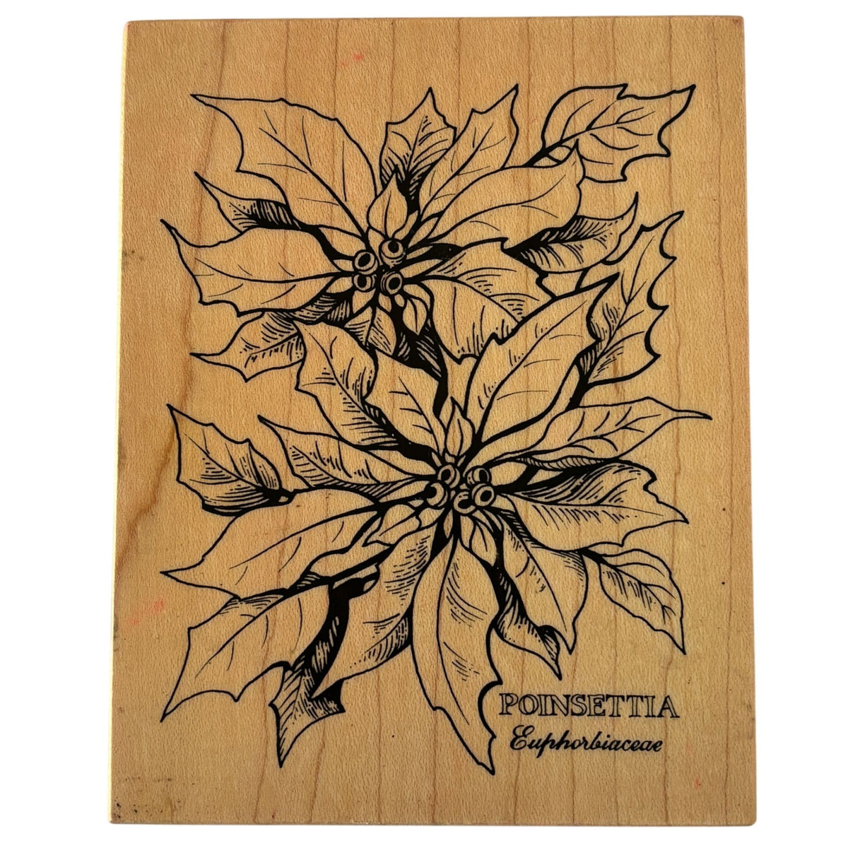 PSX Poinsettia Rubber Stamp K-784 Botanical Christmas Floral Holiday Card Making Scrapbooking