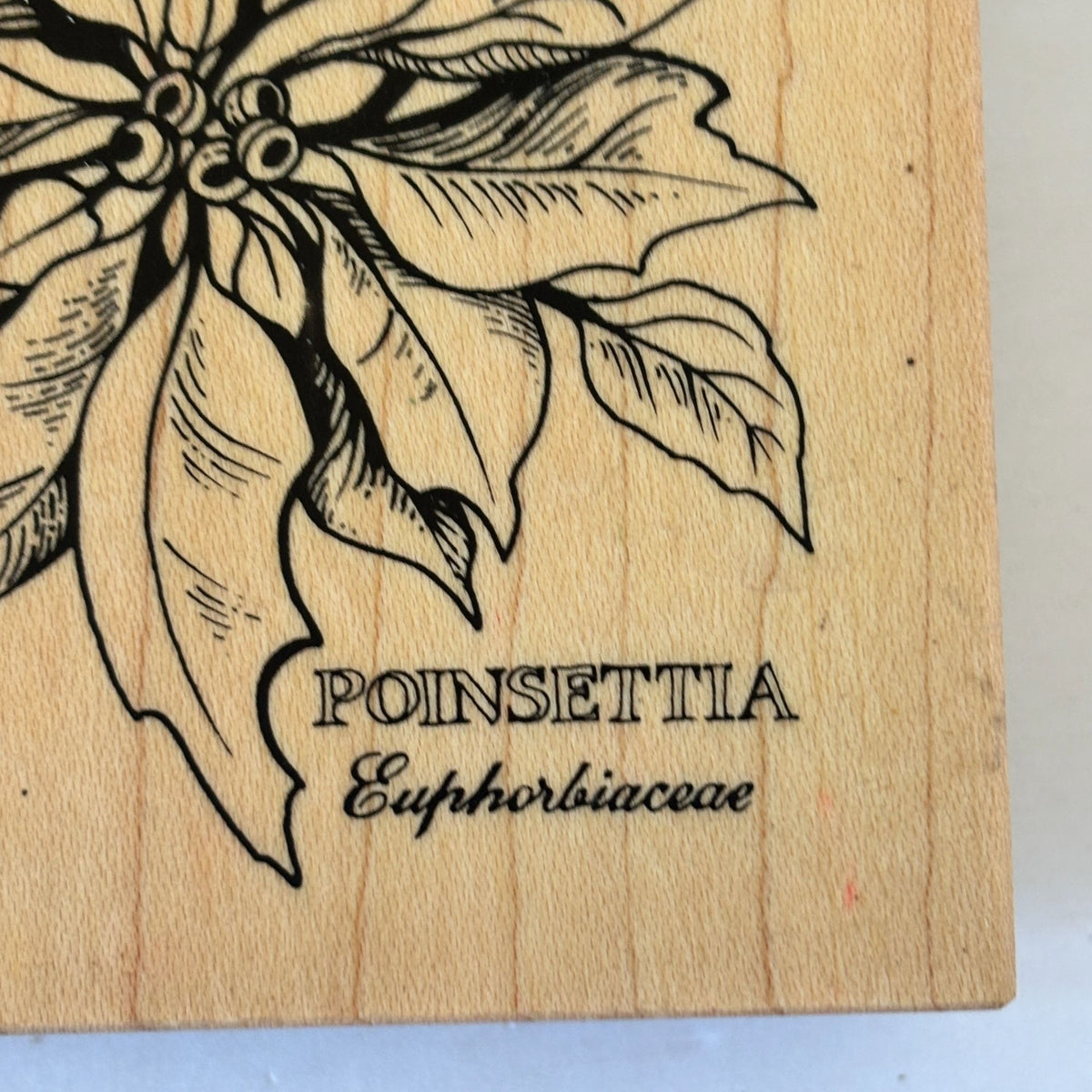 PSX Poinsettia Rubber Stamp K-784 Botanical Christmas Floral Holiday Card Making Scrapbooking