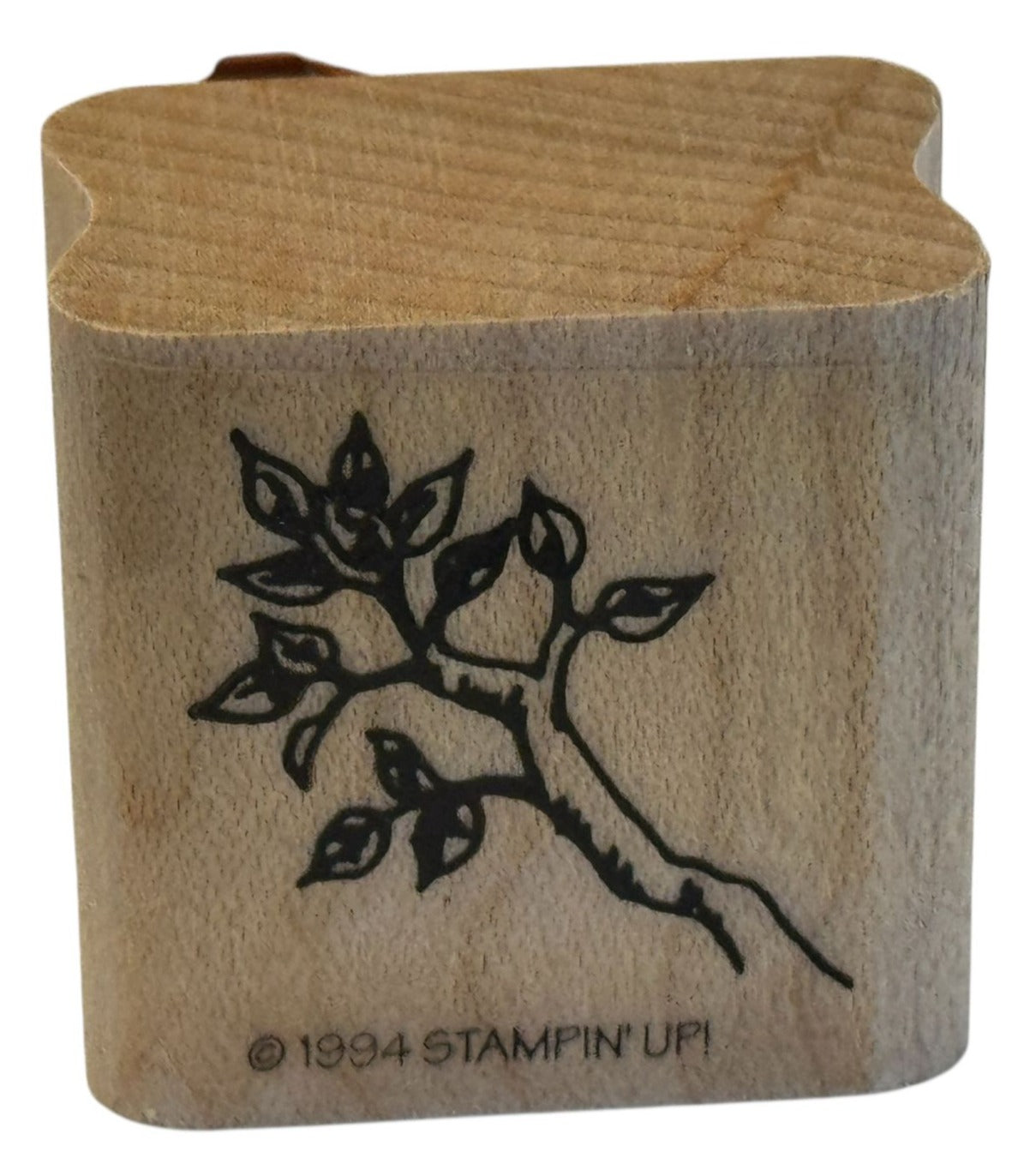 Stampin Up Rubber Stamp Tree Branch Nature Spring Leaves Leaf Cardmaking Craft