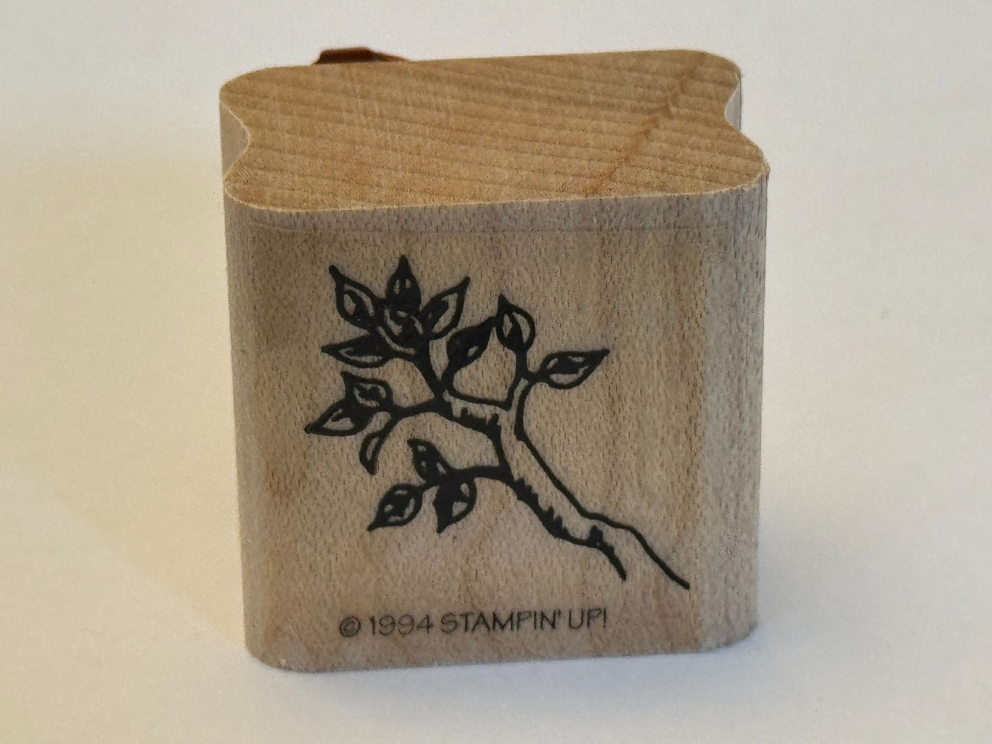 Stampin Up Rubber Stamp Tree Branch Nature Spring Leaves Leaf Cardmaking Craft