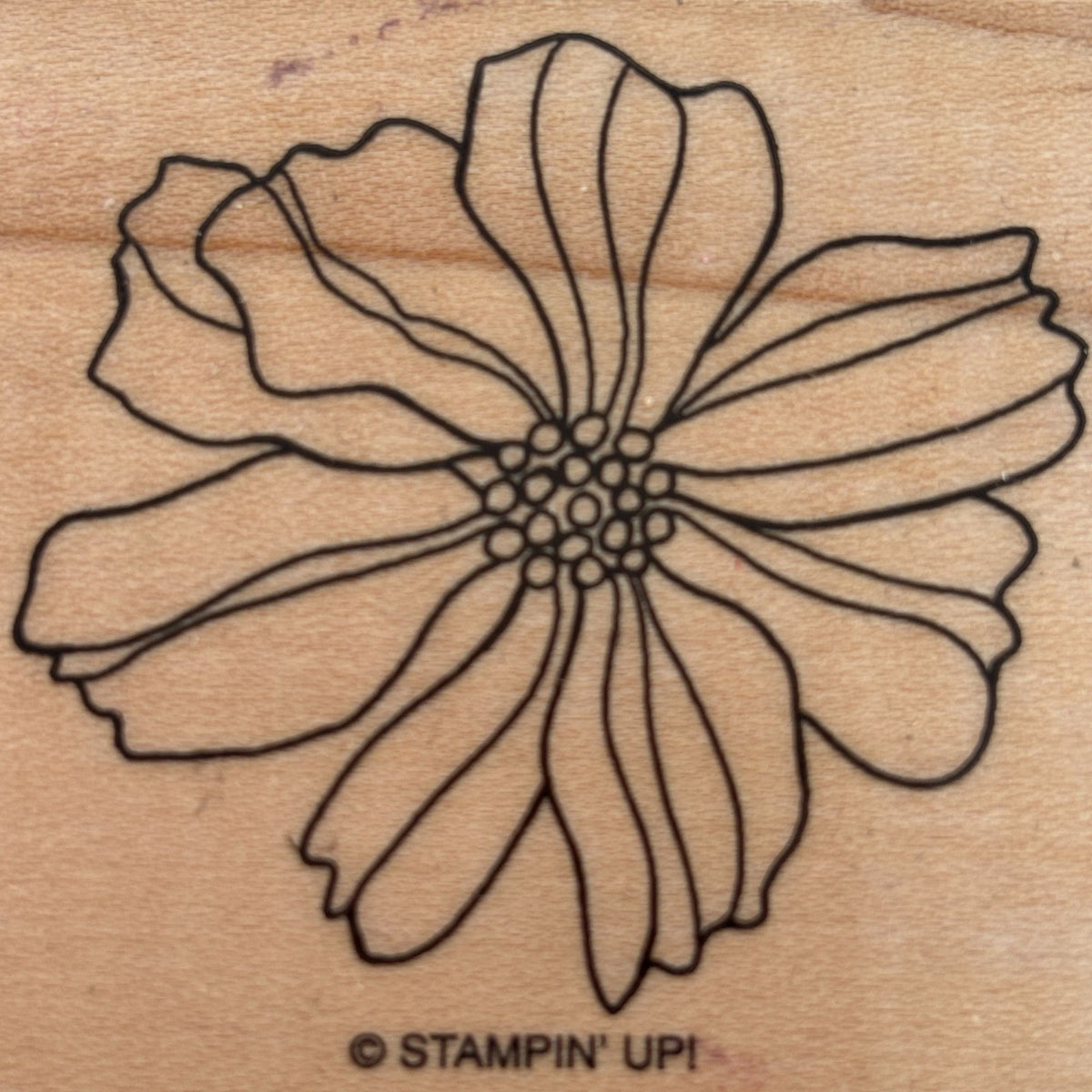 Stampin Up Wood Mounted Rubber Stamp Flower Garden Floral Nature Card Making