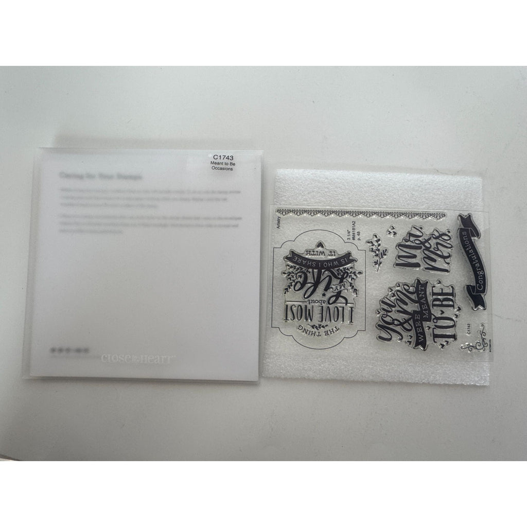 CTMH My Acrylix Acrylic Stamp Set Meant to Be Mr and Mrs Anniversary Card Making