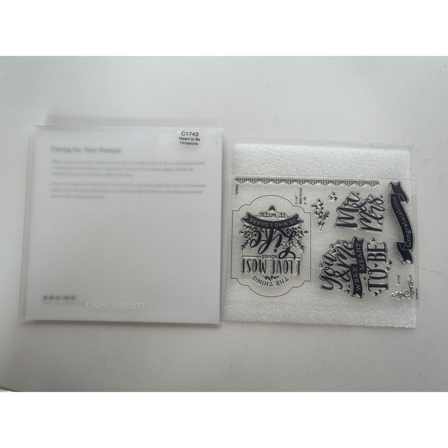 CTMH My Acrylix Acrylic Stamp Set Meant to Be Mr and Mrs Anniversary Card Making