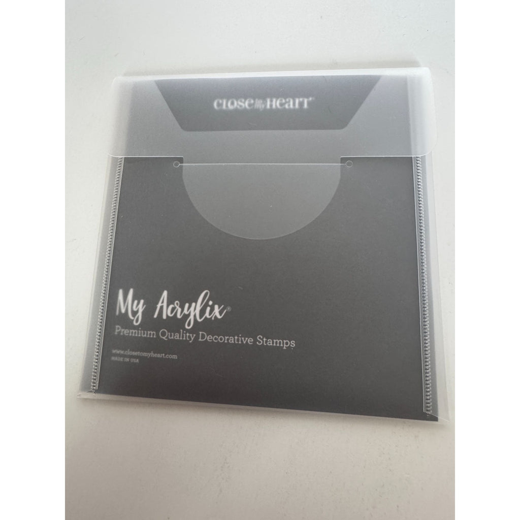 CTMH My Acrylix Acrylic Stamp Set Meant to Be Mr and Mrs Anniversary Card Making