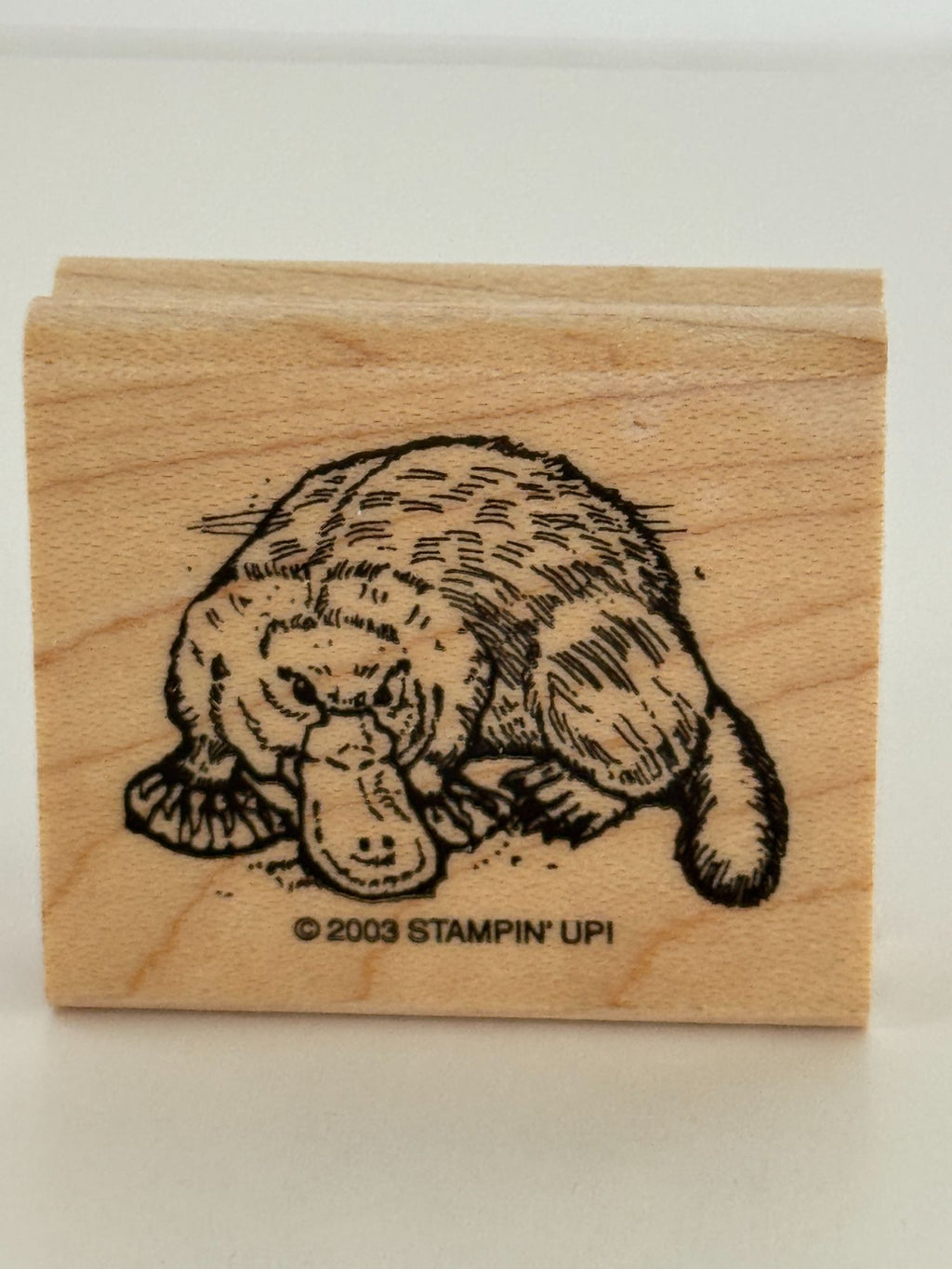 Stampin Up Rubber Stamps In the Outback Australian Kangaroo Koala Bear Platypus