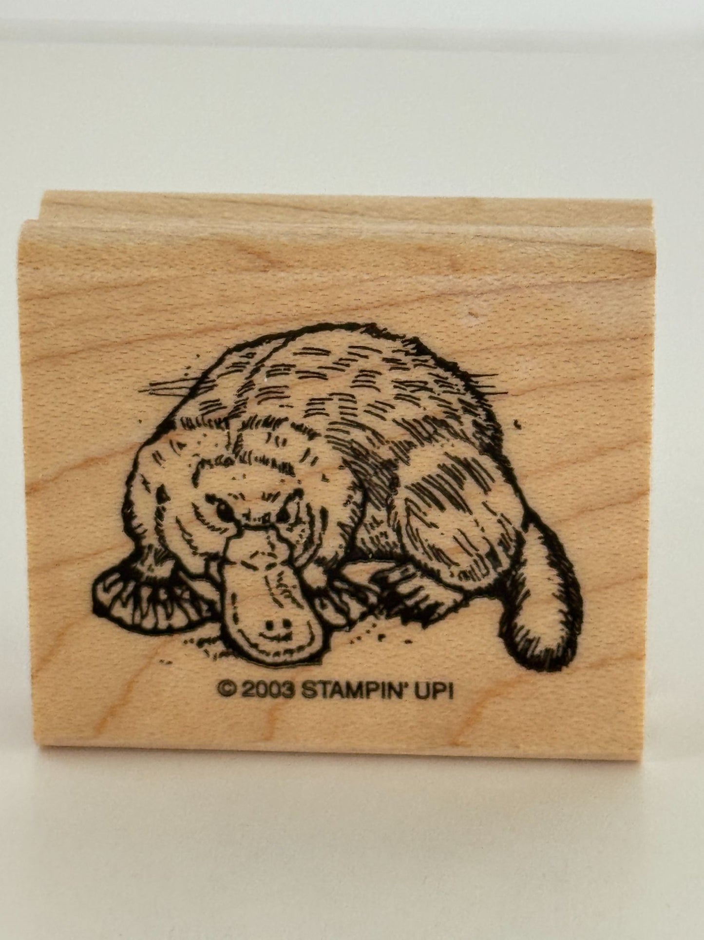 Stampin Up Rubber Stamps In the Outback Australian Kangaroo Koala Bear Platypus