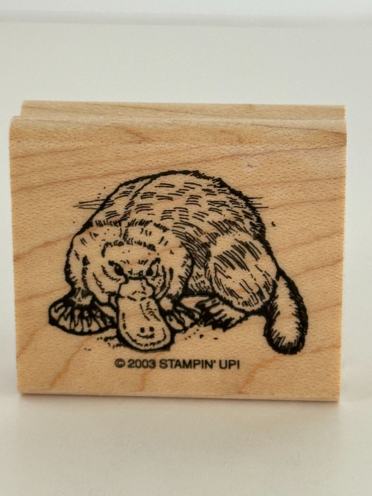 Stampin Up Rubber Stamps In the Outback Australian Kangaroo Koala Bear Platypus