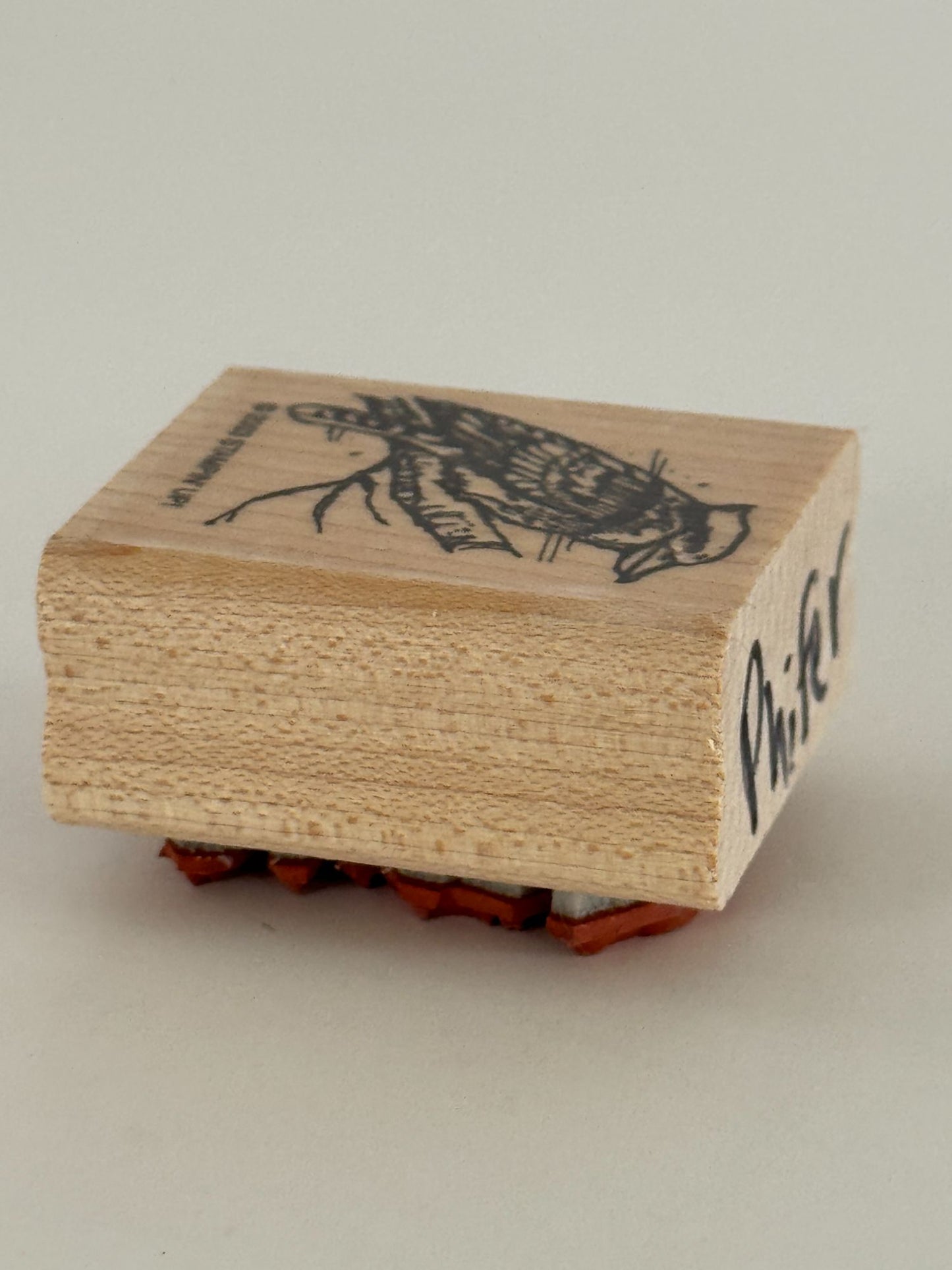Stampin Up Rubber Stamps In the Outback Australian Kangaroo Koala Bear Platypus
