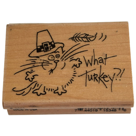 Stampendous Rubber Stamp Fluffles Cat Ate What Turkey Thanksgiving Funny Words