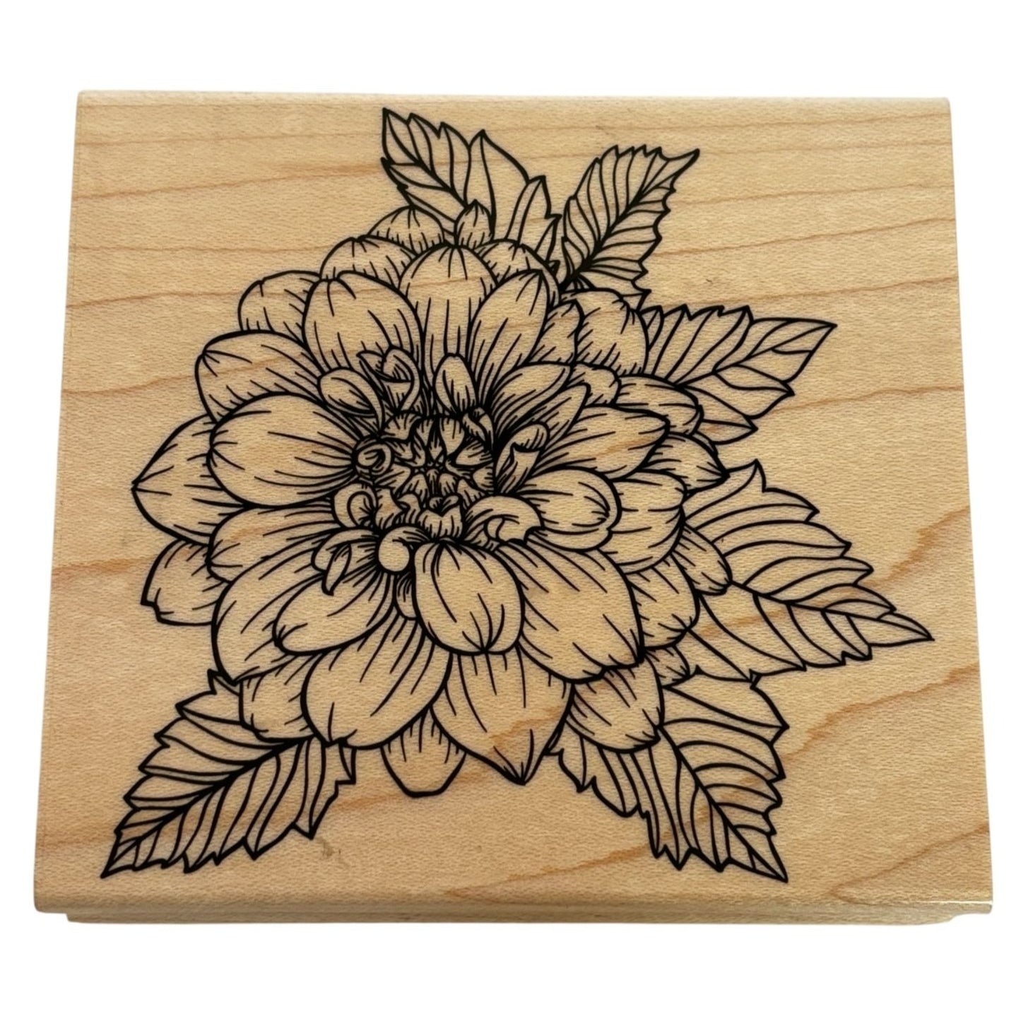 Hero Arts Wood Rubber Stamp Artistic Dahlia Flower Spring Friendship Card Making