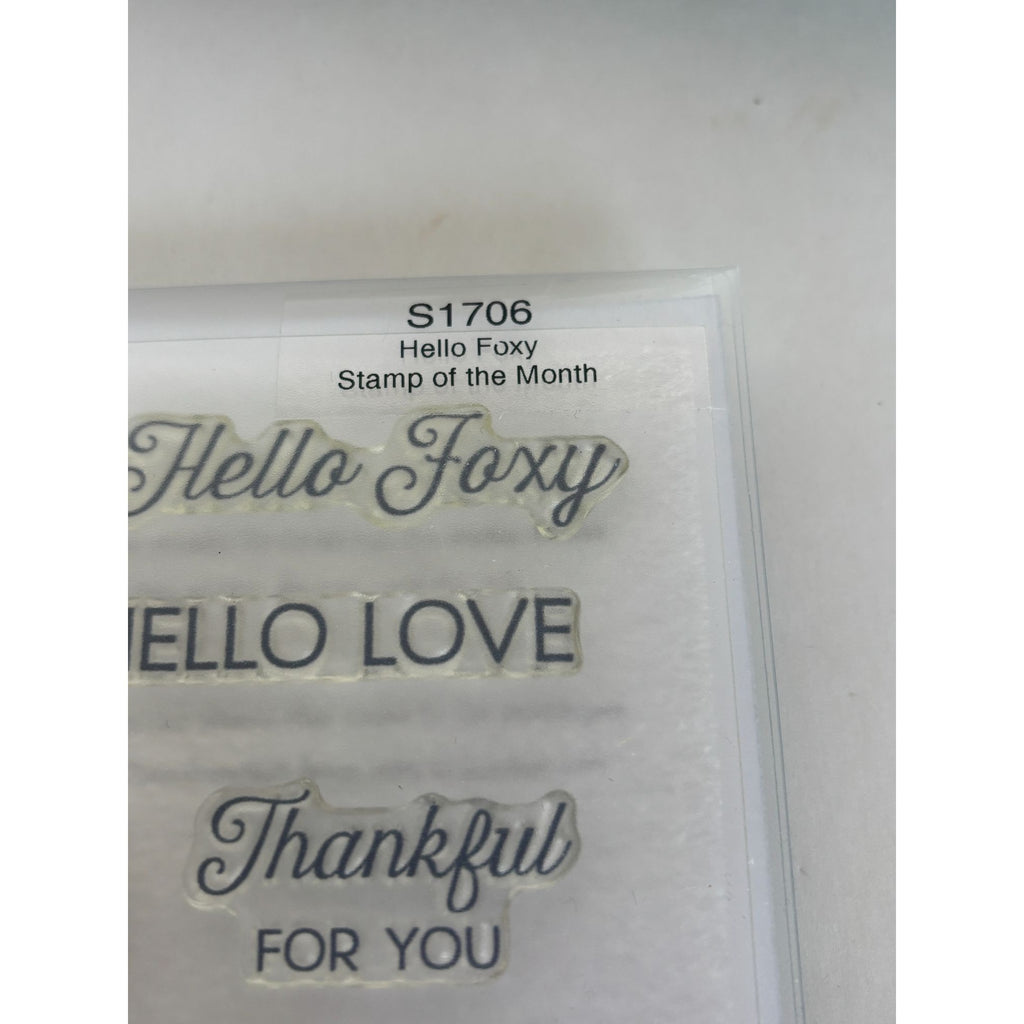 CTMH Acrylic Stamps Set Hello Foxy Fox Flower Wreath Thankful for You My Acrylix